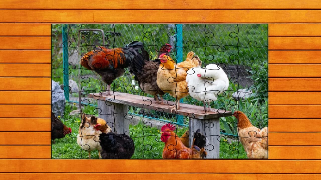 Farmyard Pals Jigsaw Puzzles görsel 7