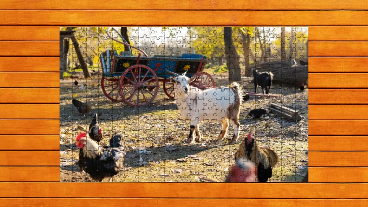 Farmyard Pals Jigsaw Puzzles görsel 8