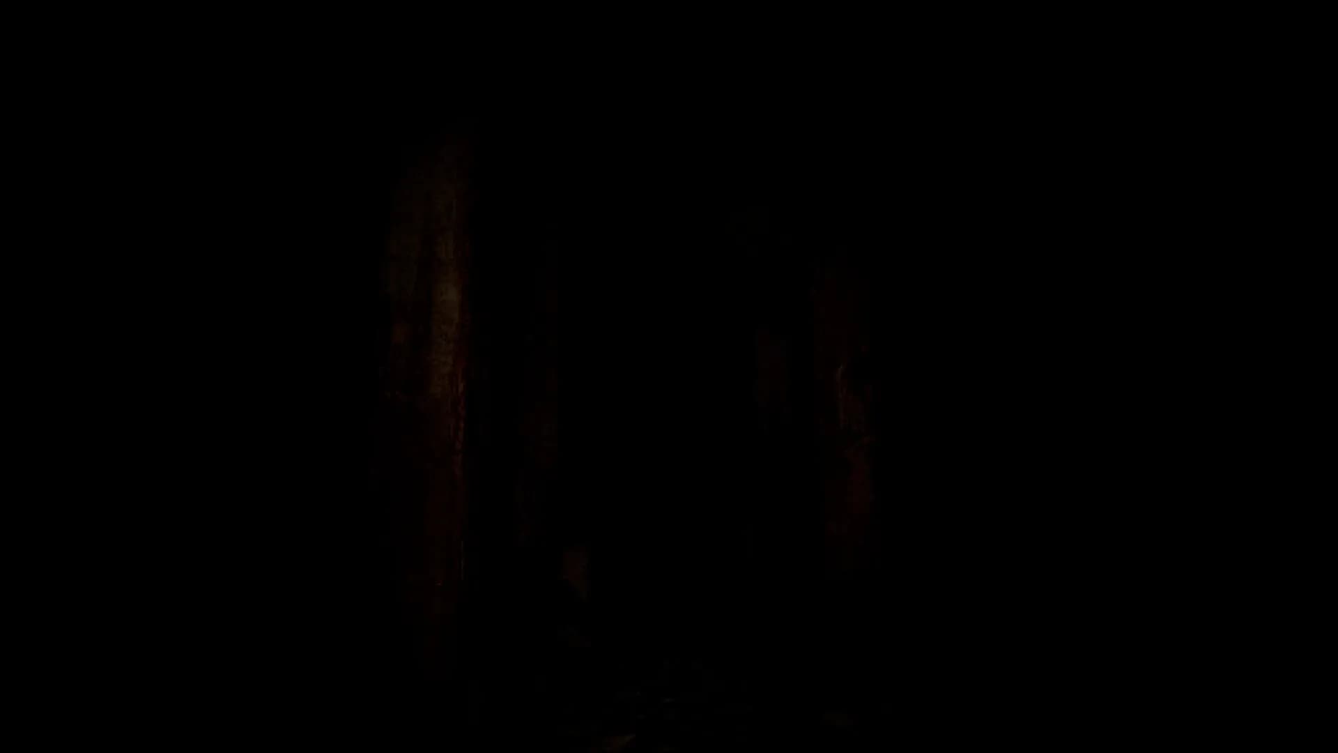 somnus görsel 3