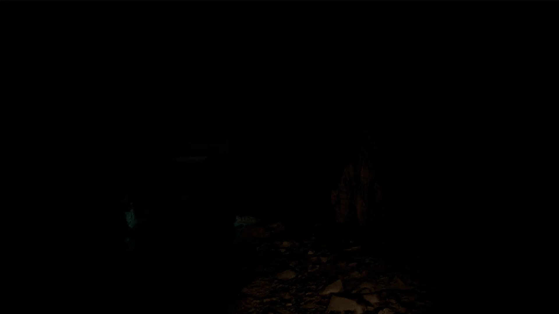 somnus görsel 7