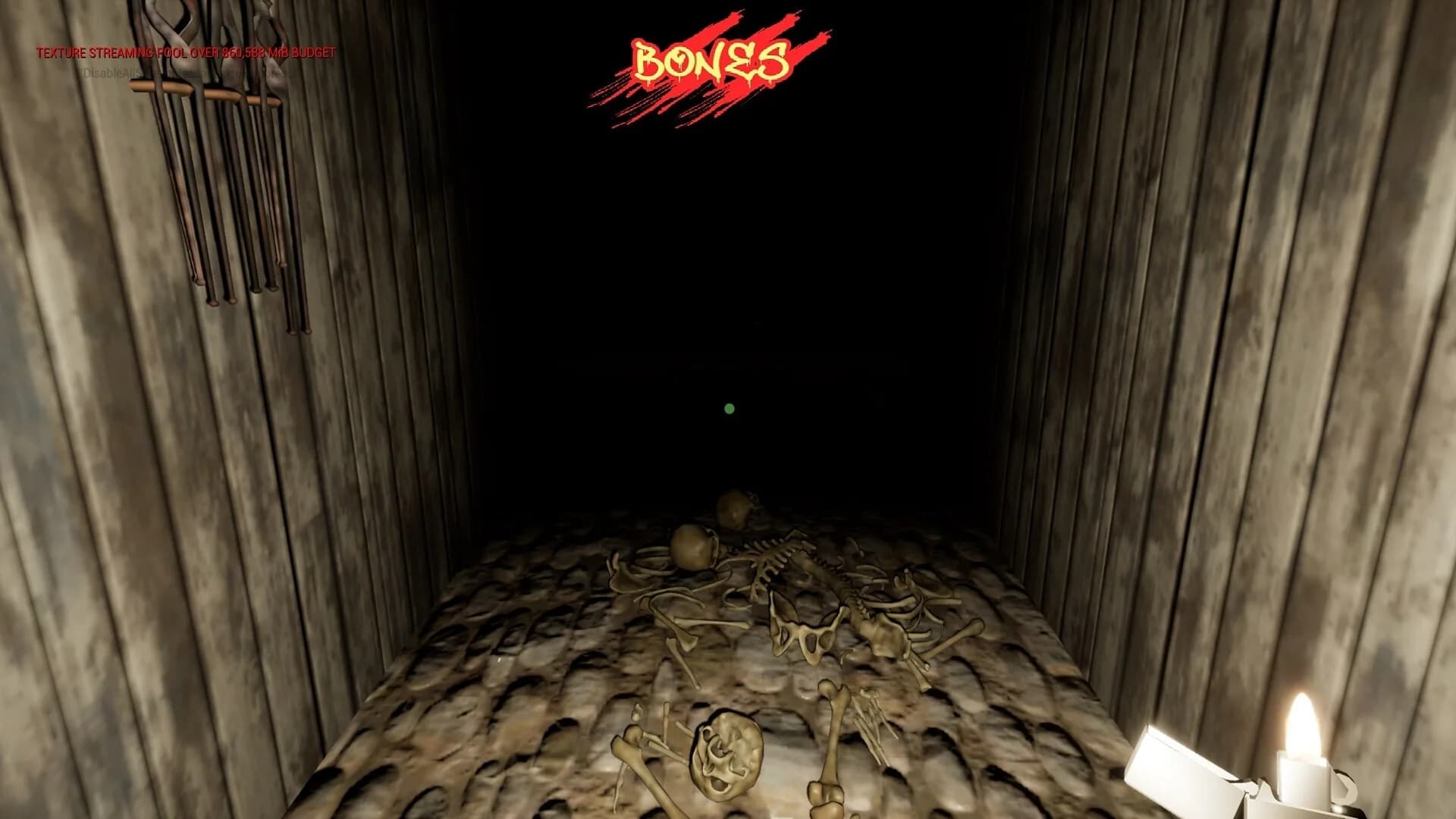 Bones görsel 5