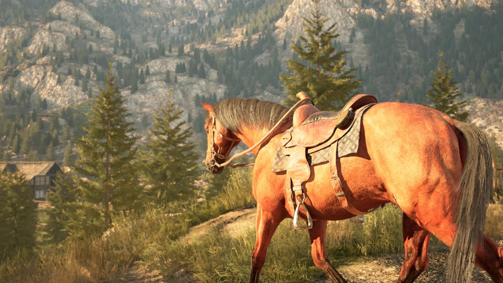 Medieval Horse Simulator görsel 4