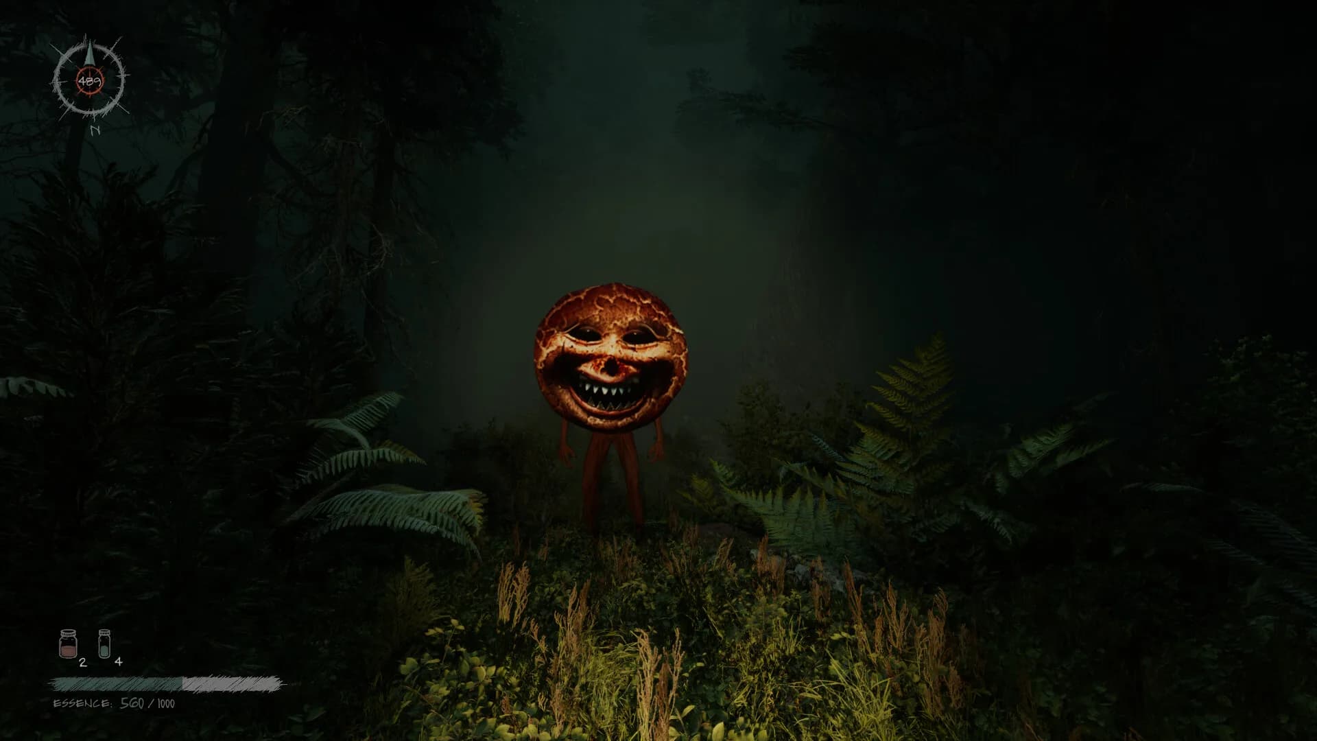 Proytz görsel 2