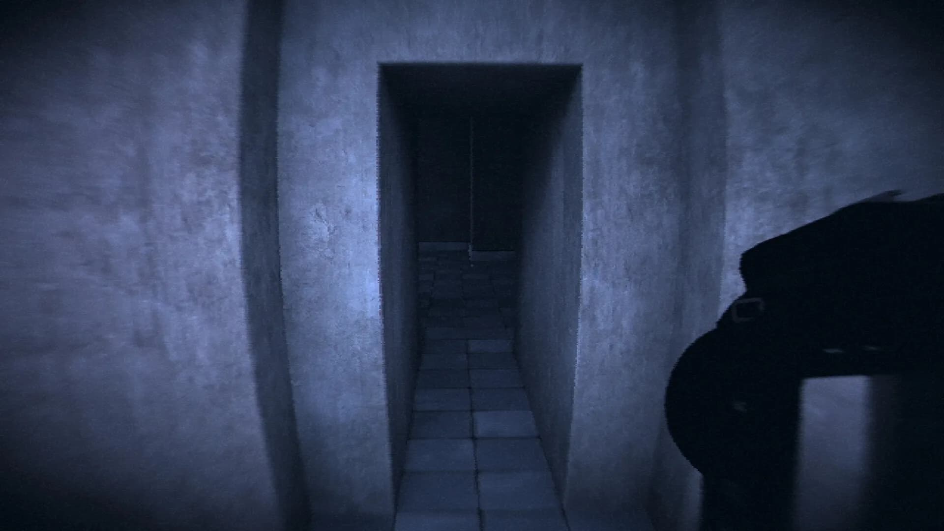 HorrorCore: Labirent ve Korku Havuzları görsel 13