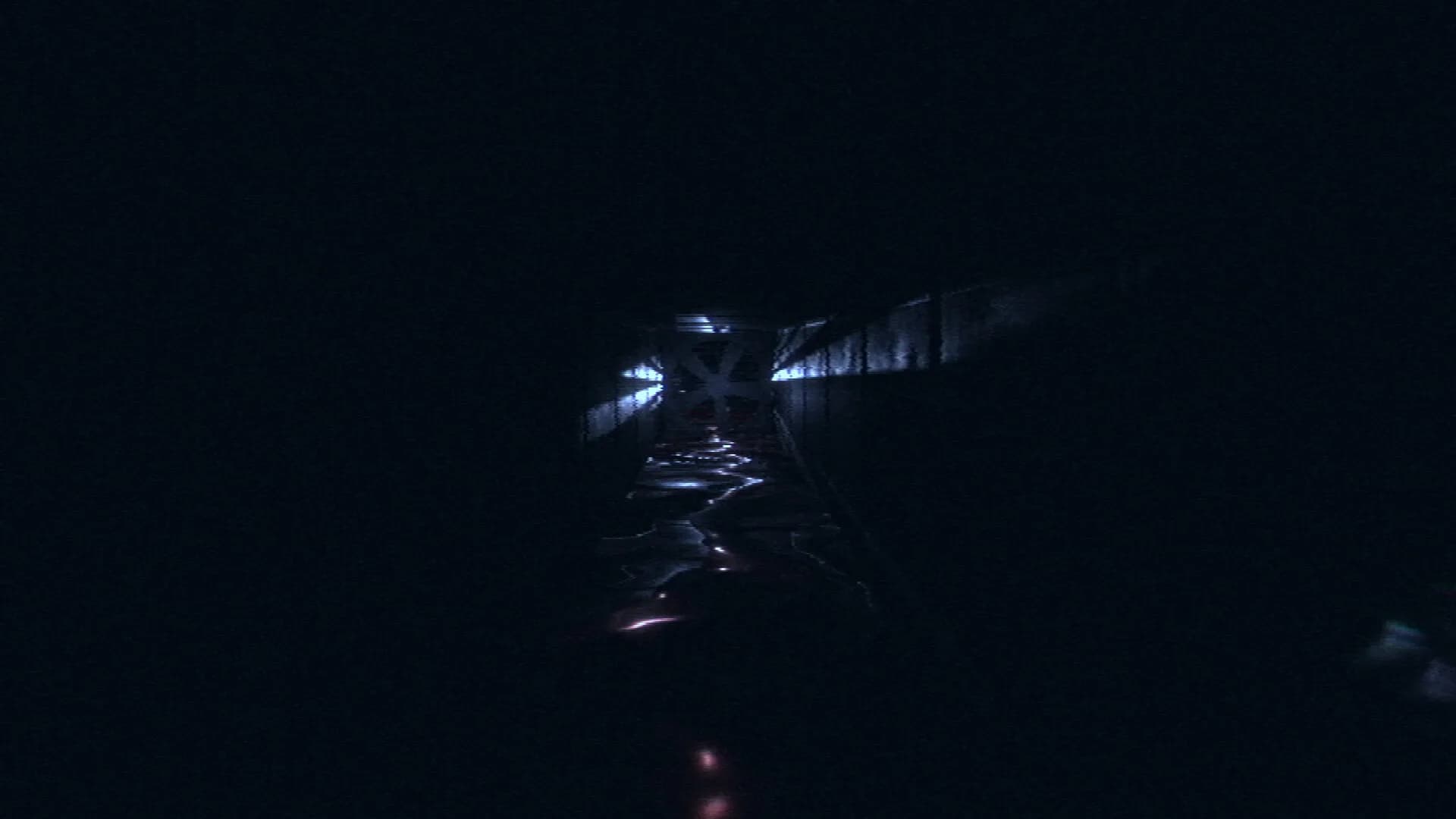 HorrorCore: Labirent ve Korku Havuzları görsel 28