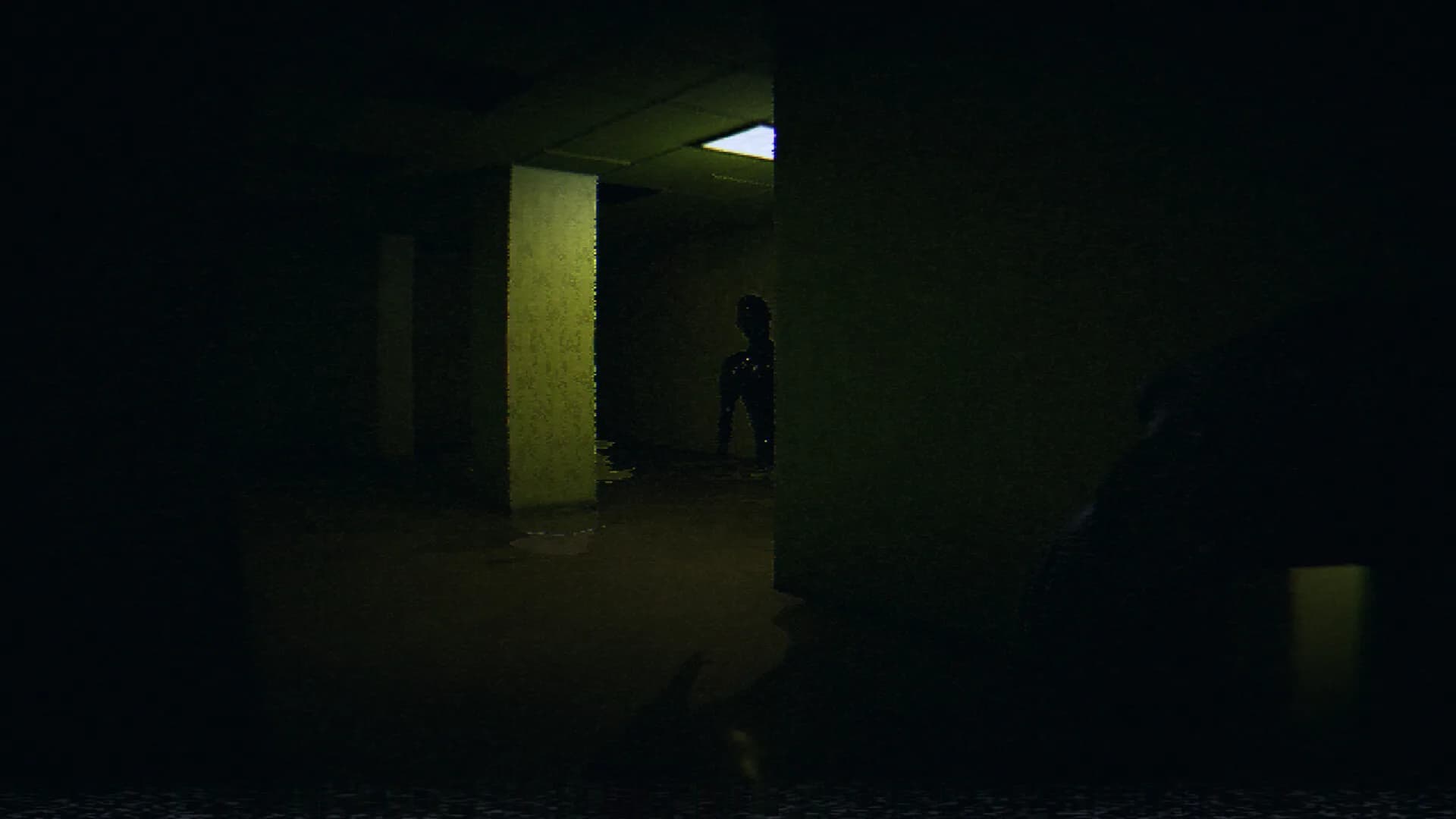 HorrorCore: Labirent ve Korku Havuzları görsel 10