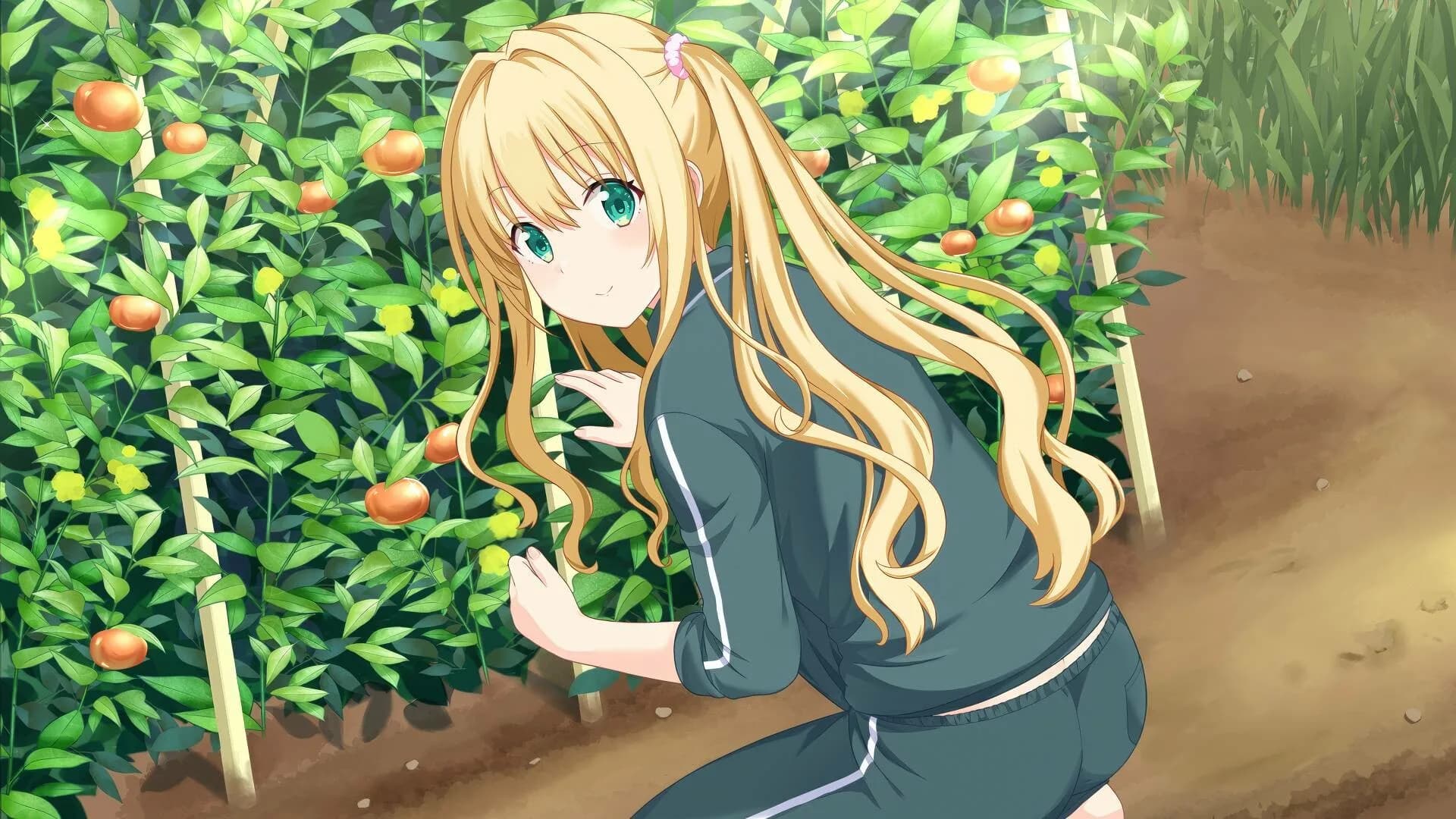 Kono Aozora ni Yakusoku o Refine görsel 5