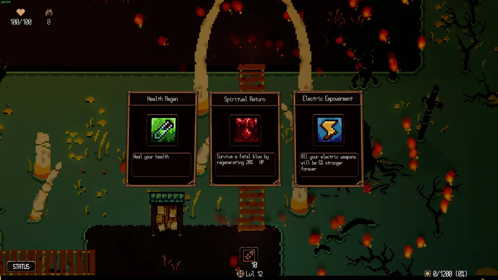 STELA BOSS görsel 3