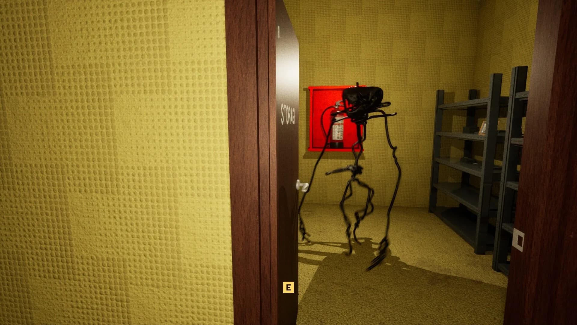 BACKROOMS ANOMALY görsel 4