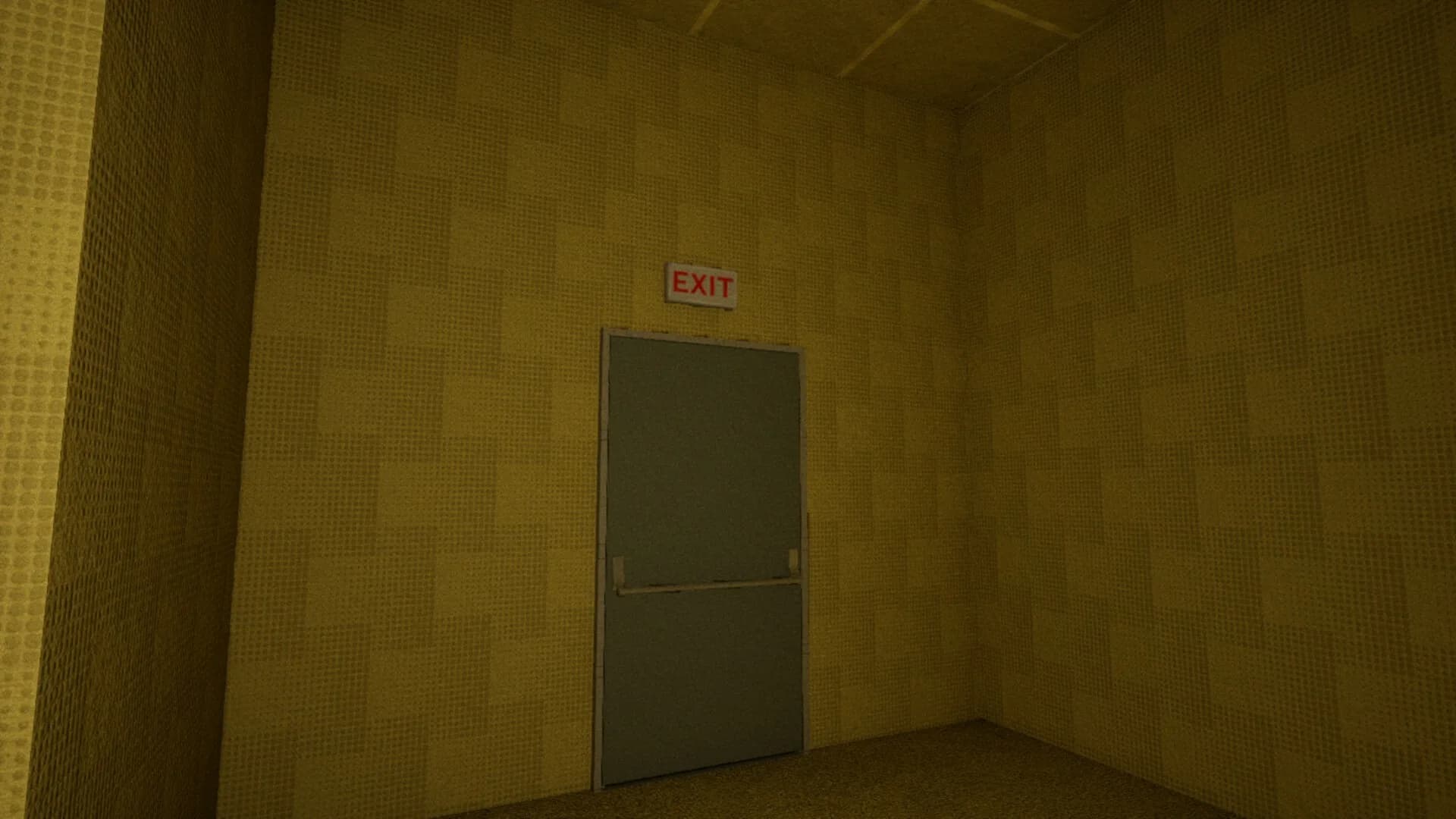 BACKROOMS ANOMALY görsel 9