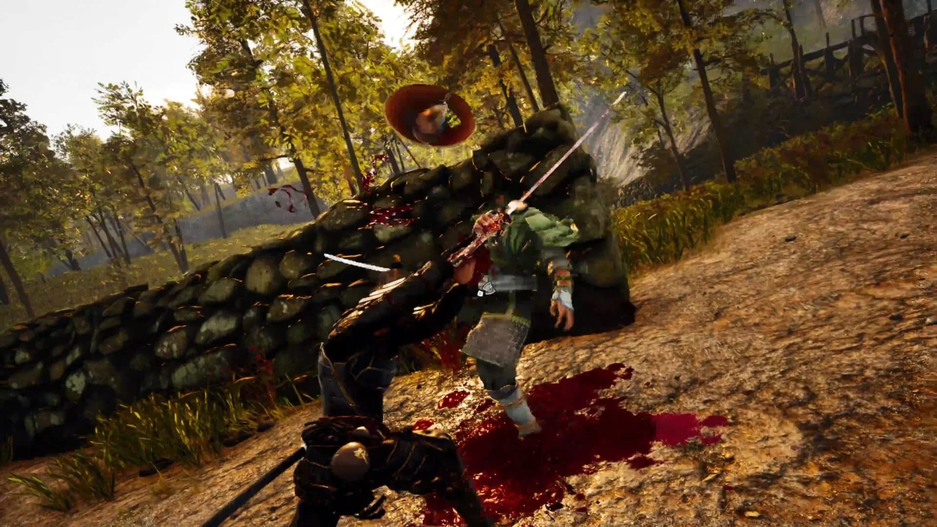 Ronin's Way görsel 4