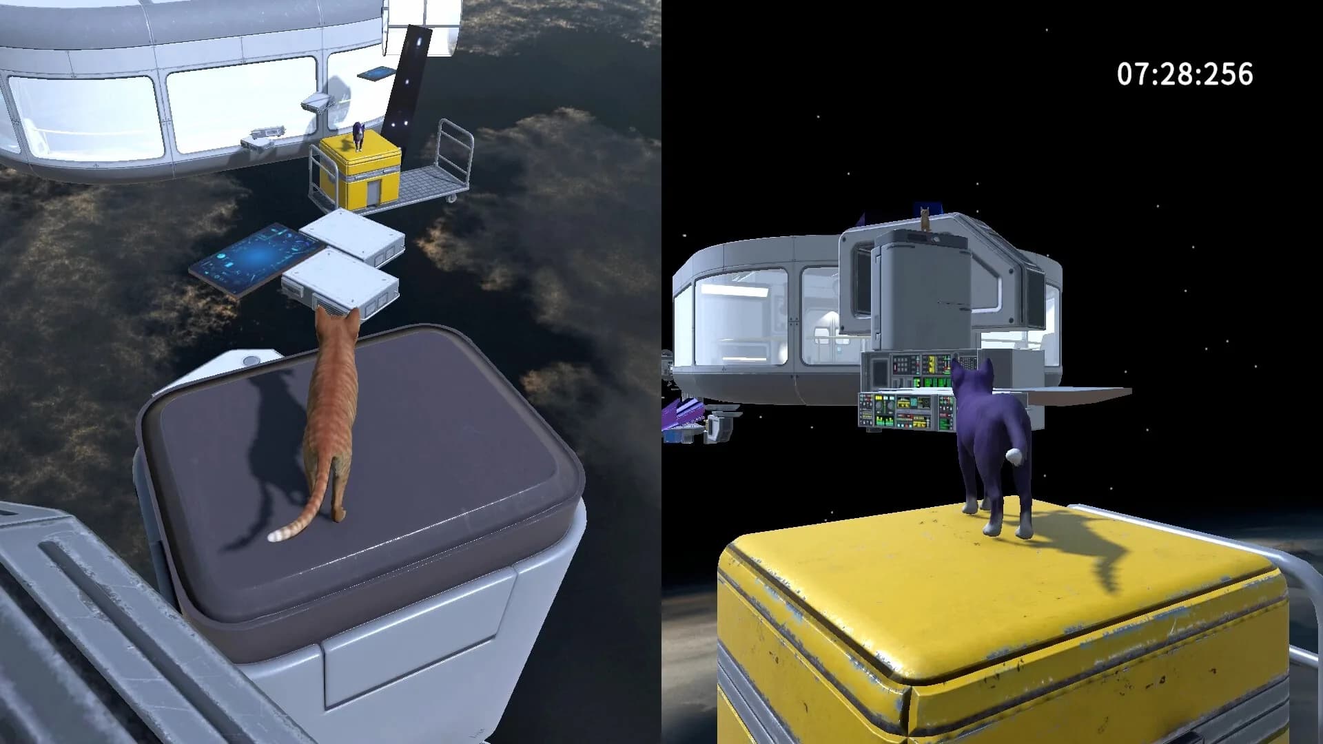 CatShift görsel 9