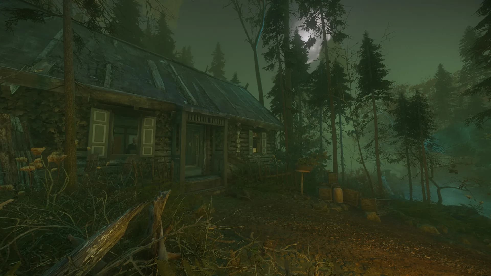 The Cursed Forest görsel 2