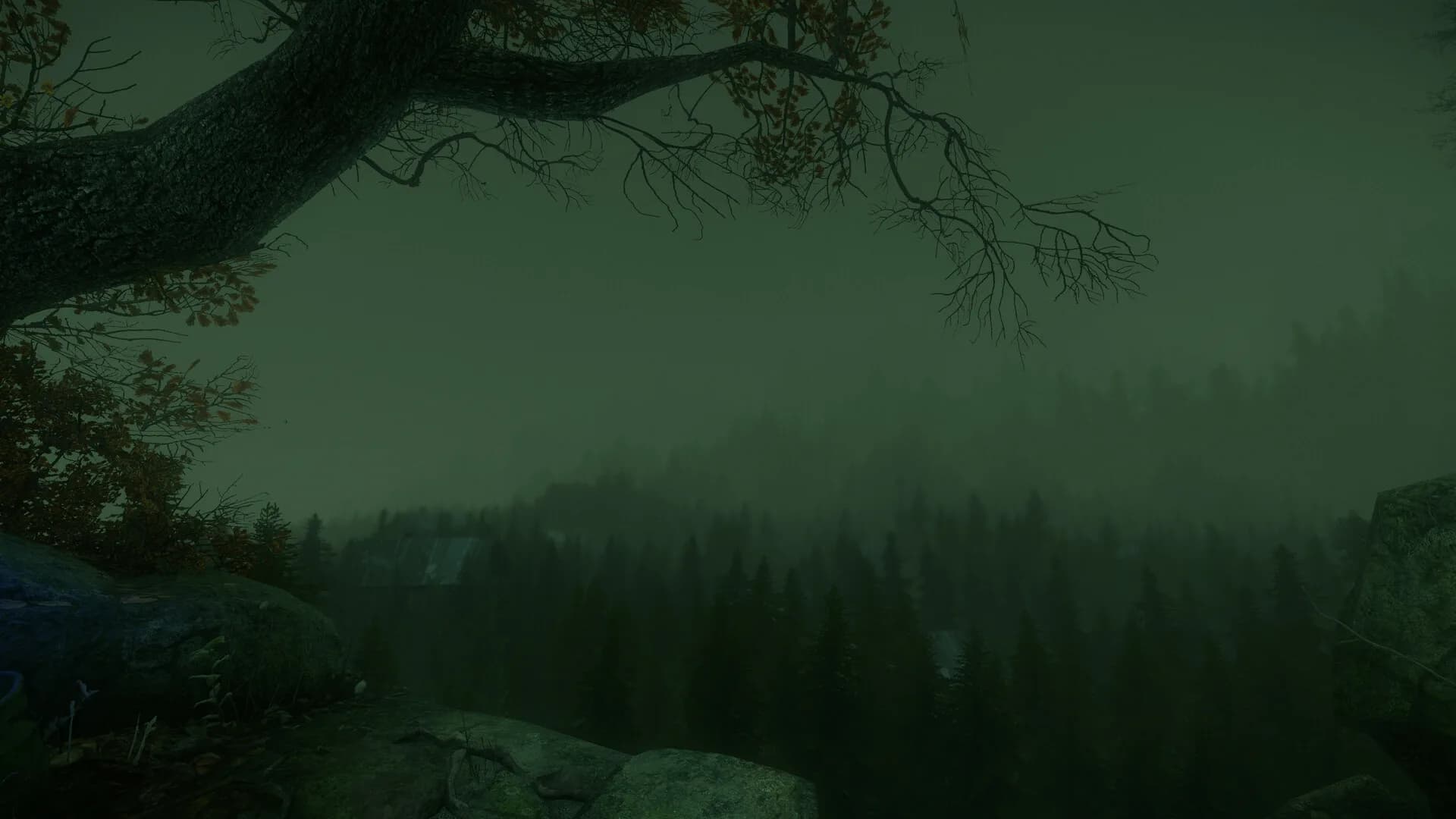 The Cursed Forest görsel 3