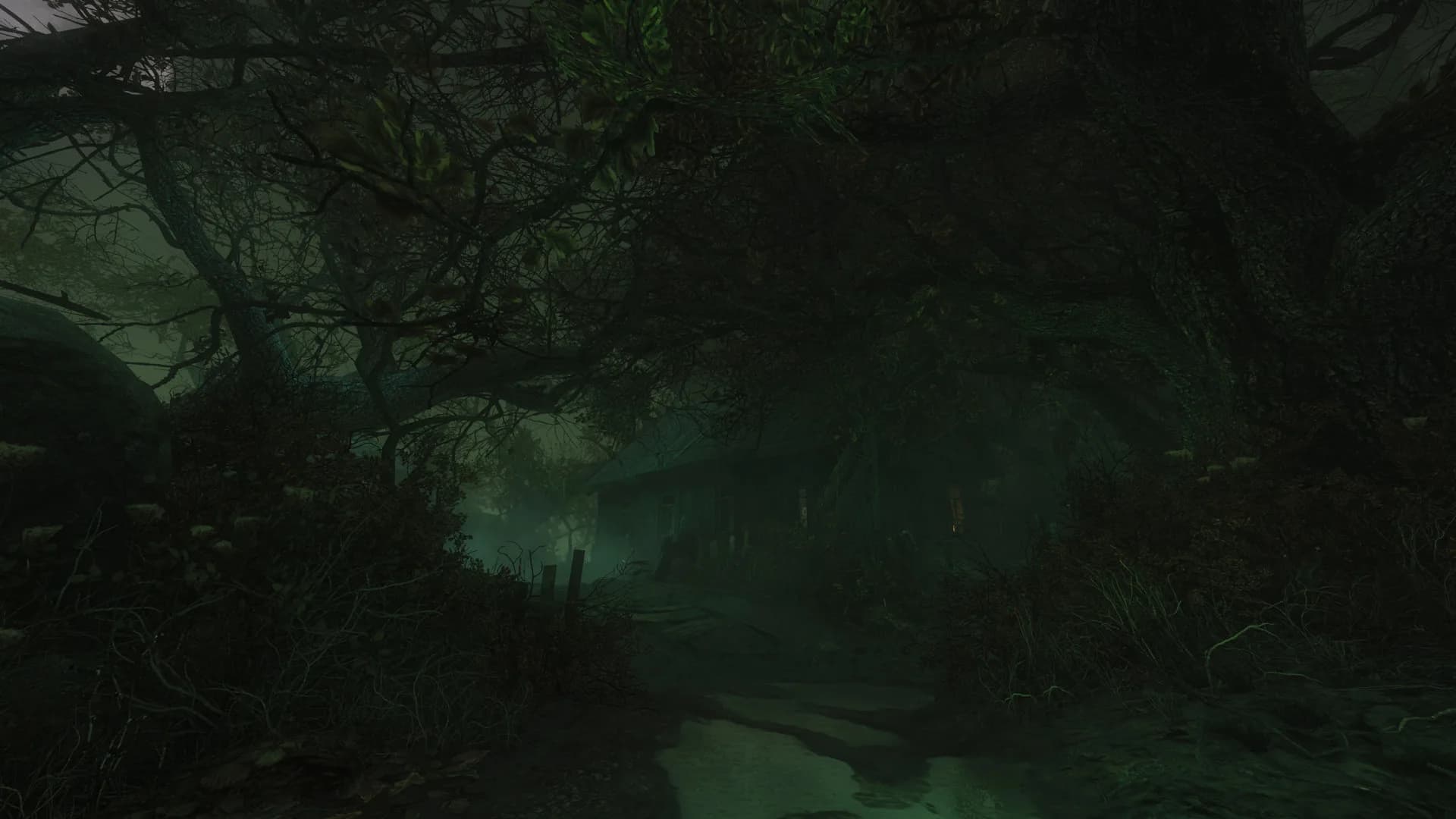 The Cursed Forest görsel 13