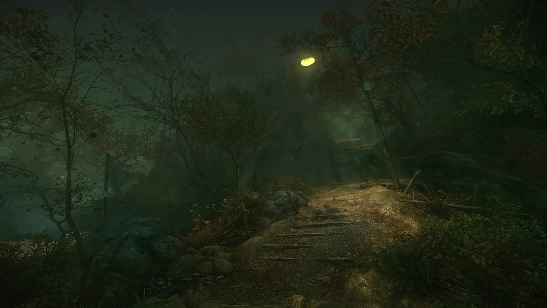 The Cursed Forest görsel 14