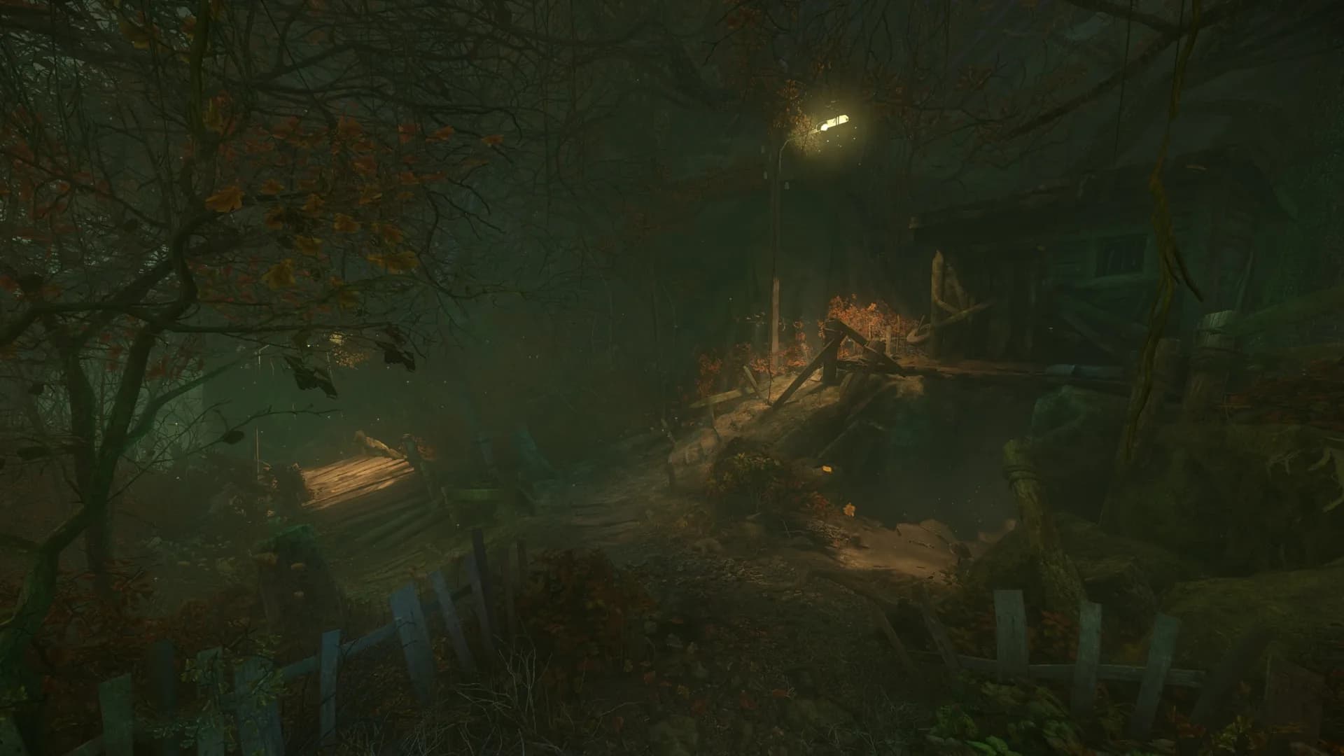 The Cursed Forest görsel 15
