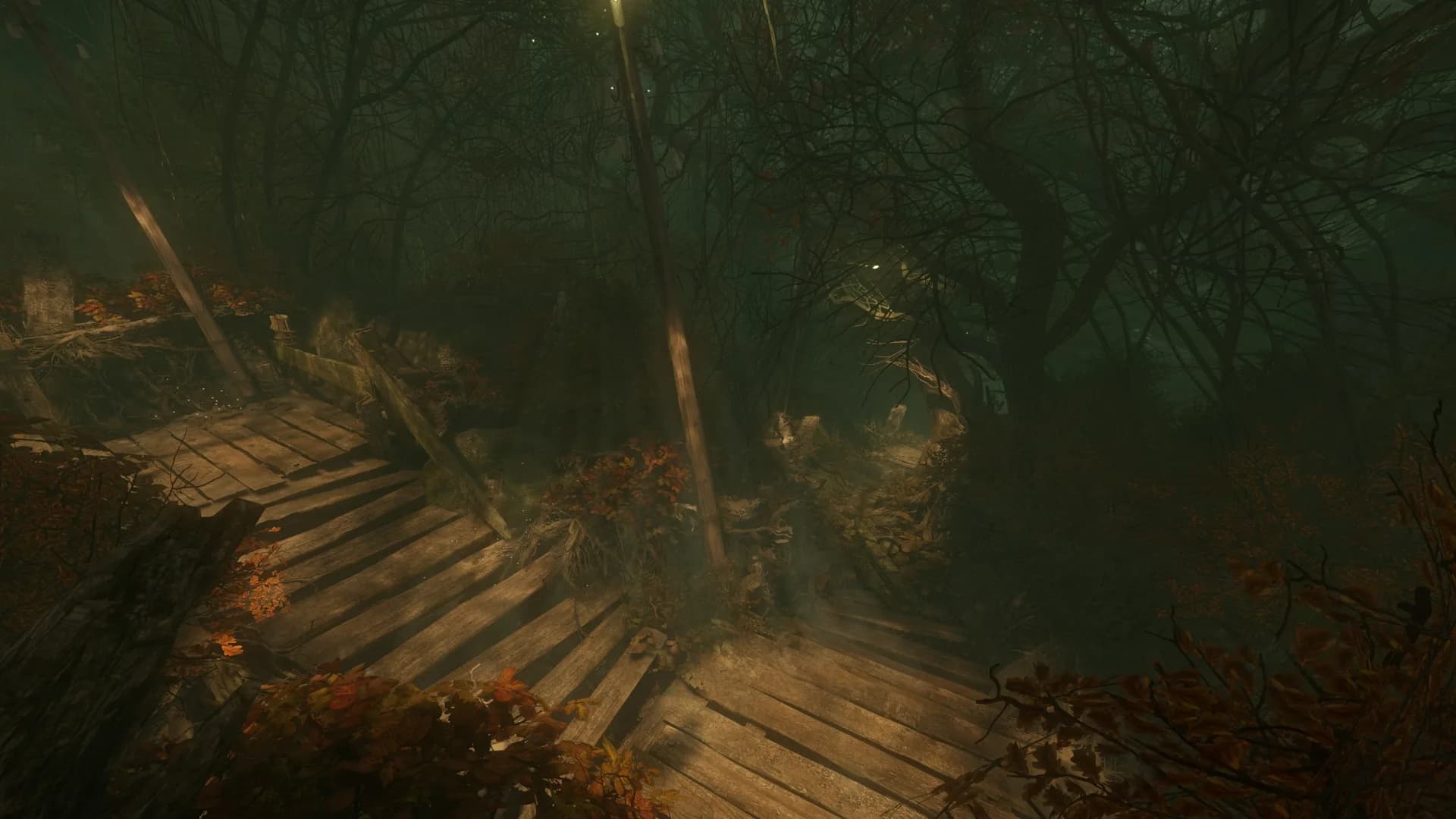 The Cursed Forest görsel 17