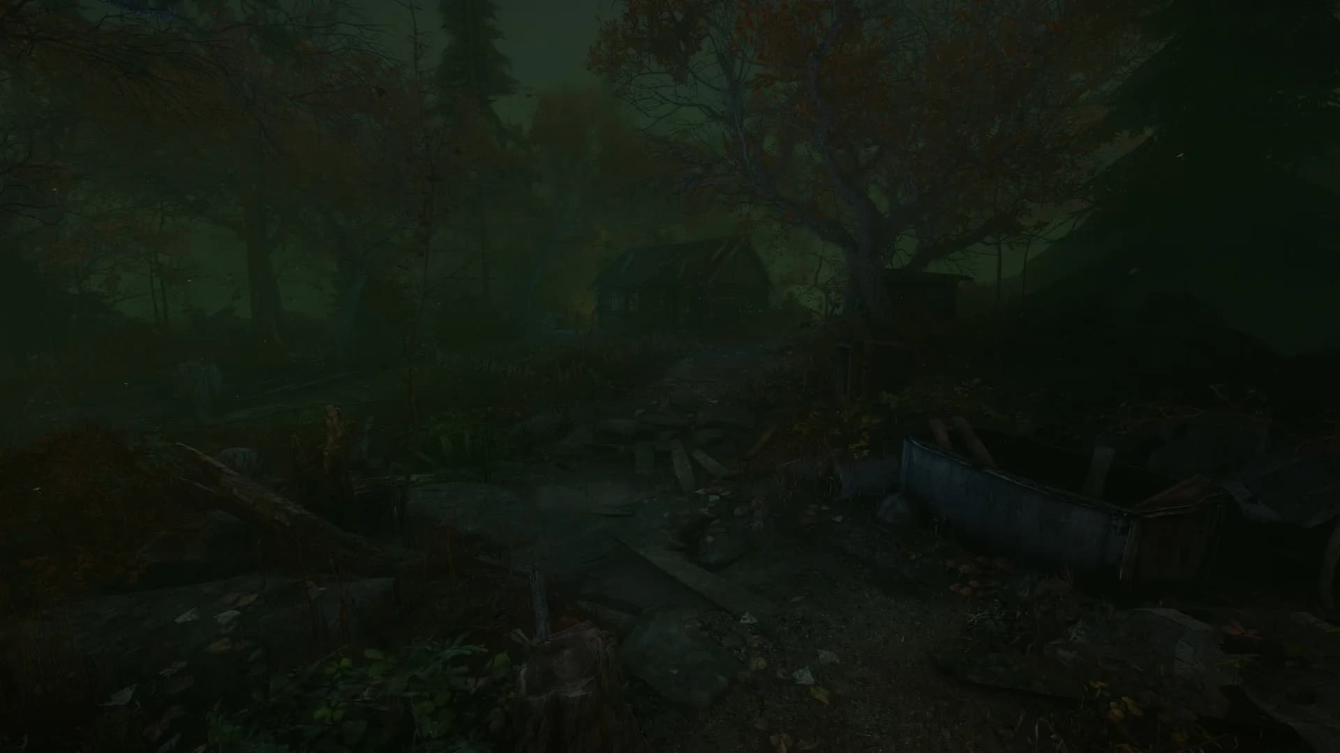 The Cursed Forest görsel 19