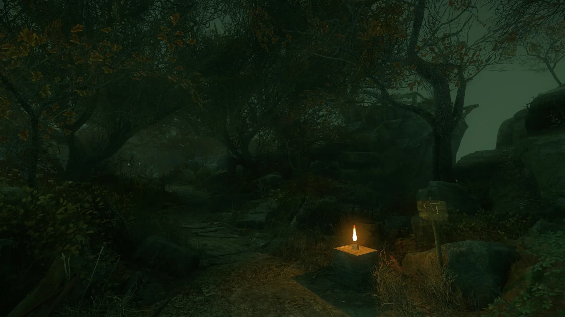 The Cursed Forest görsel 5