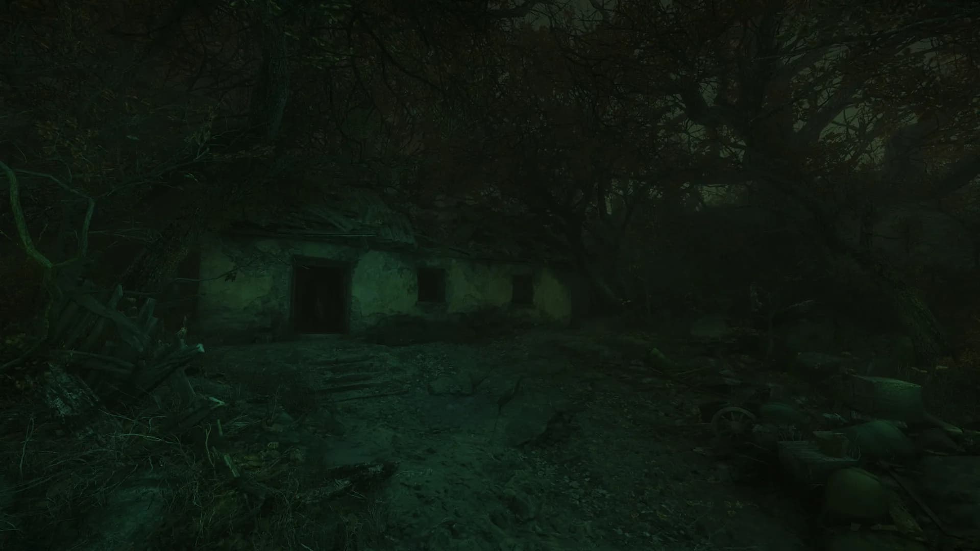 The Cursed Forest görsel 9