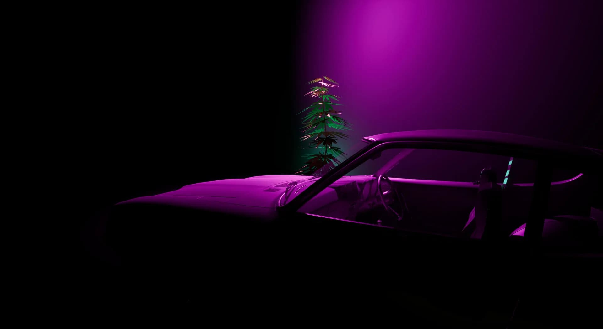 My Project Car görsel 2