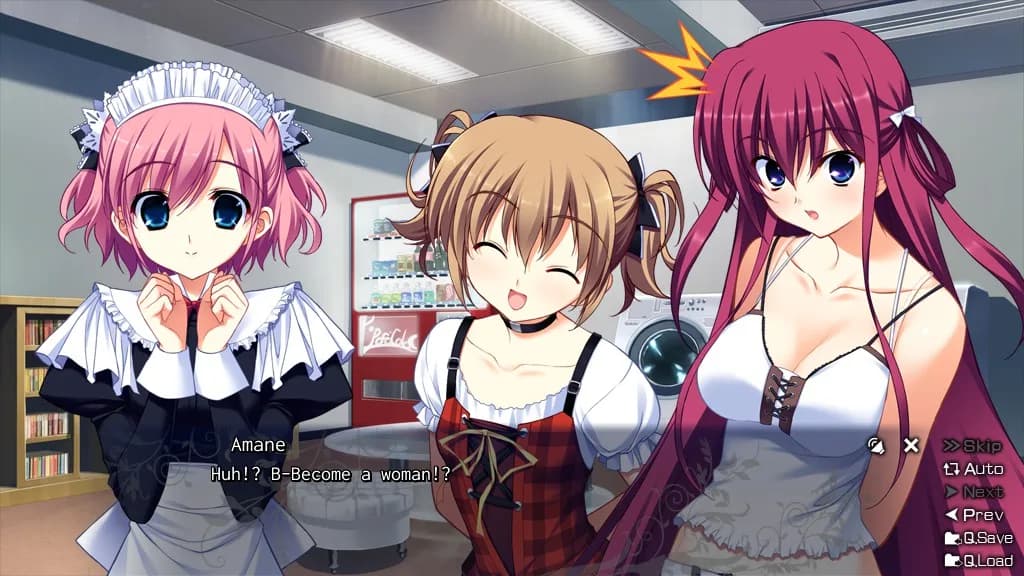 The Fruit of Grisaia görsel 12