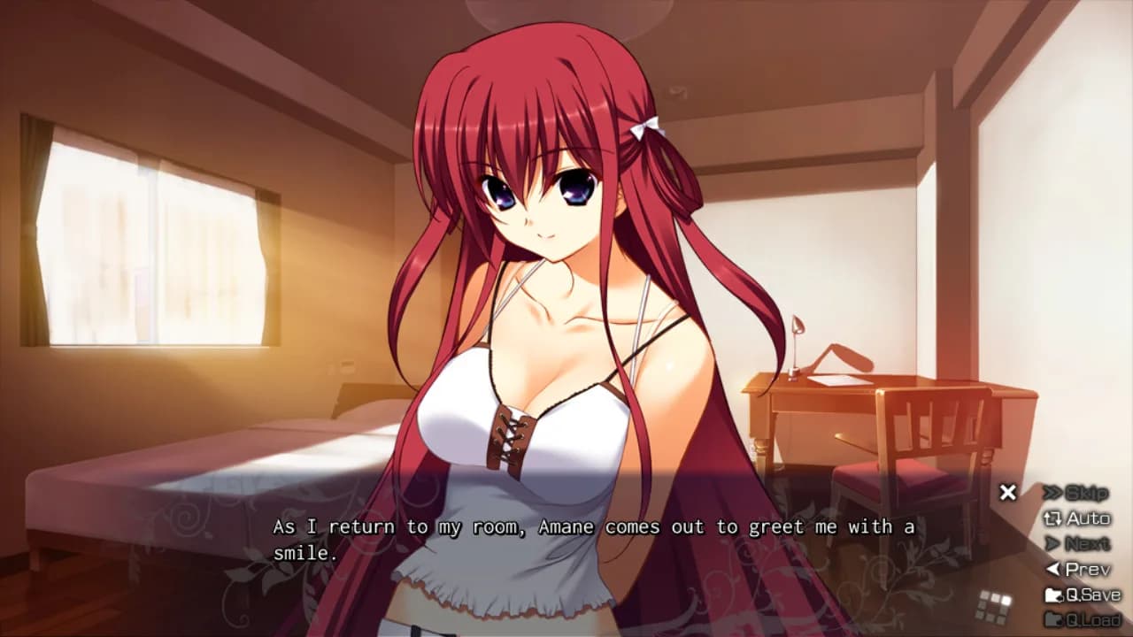 The Labyrinth of Grisaia görsel 3
