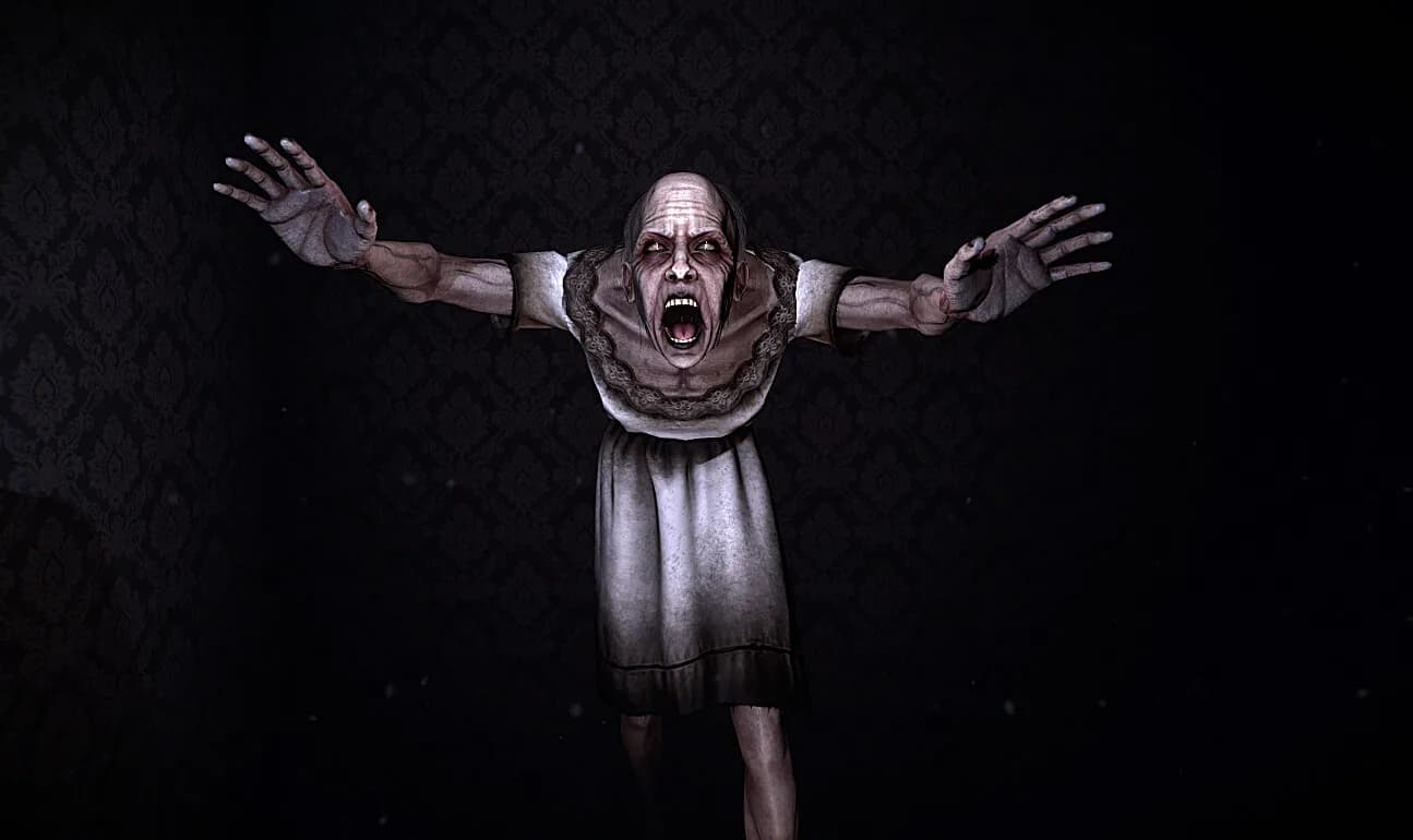 The Maid görsel 2