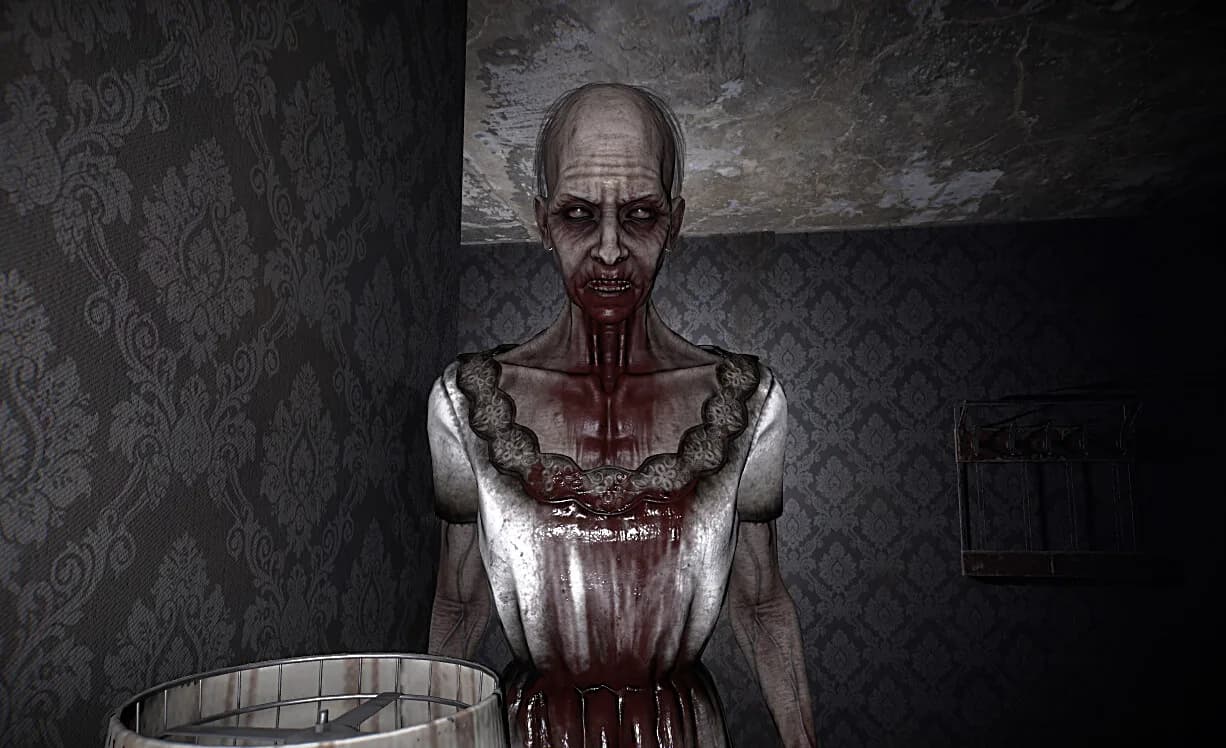 The Maid görsel 5