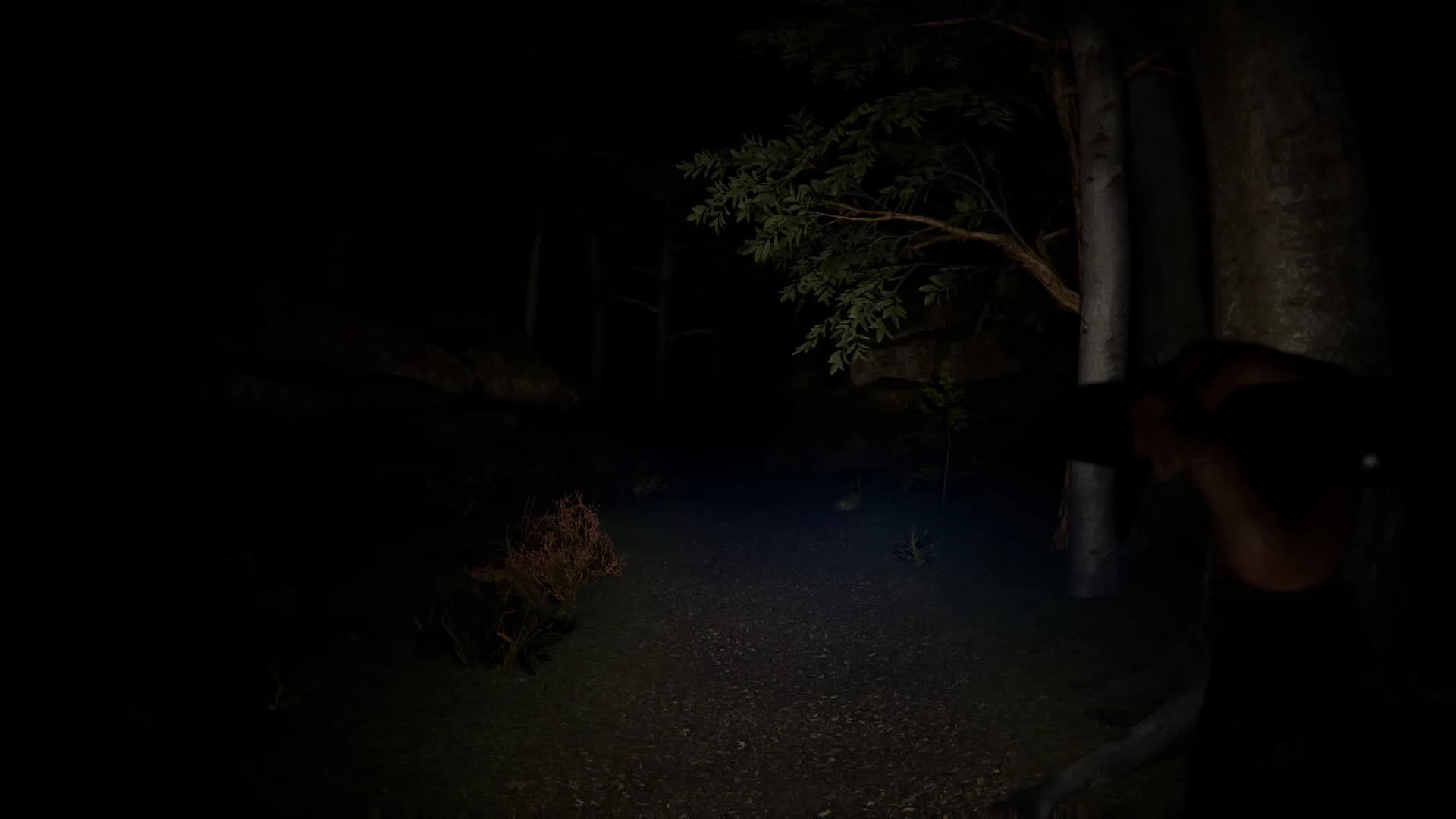 SCP Origins - Forgotten Steps görsel 4