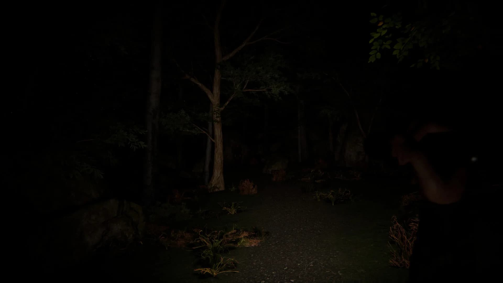 SCP Origins - Forgotten Steps görsel 5
