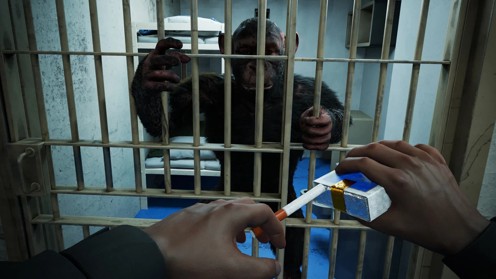 Monkey Testing görsel 4