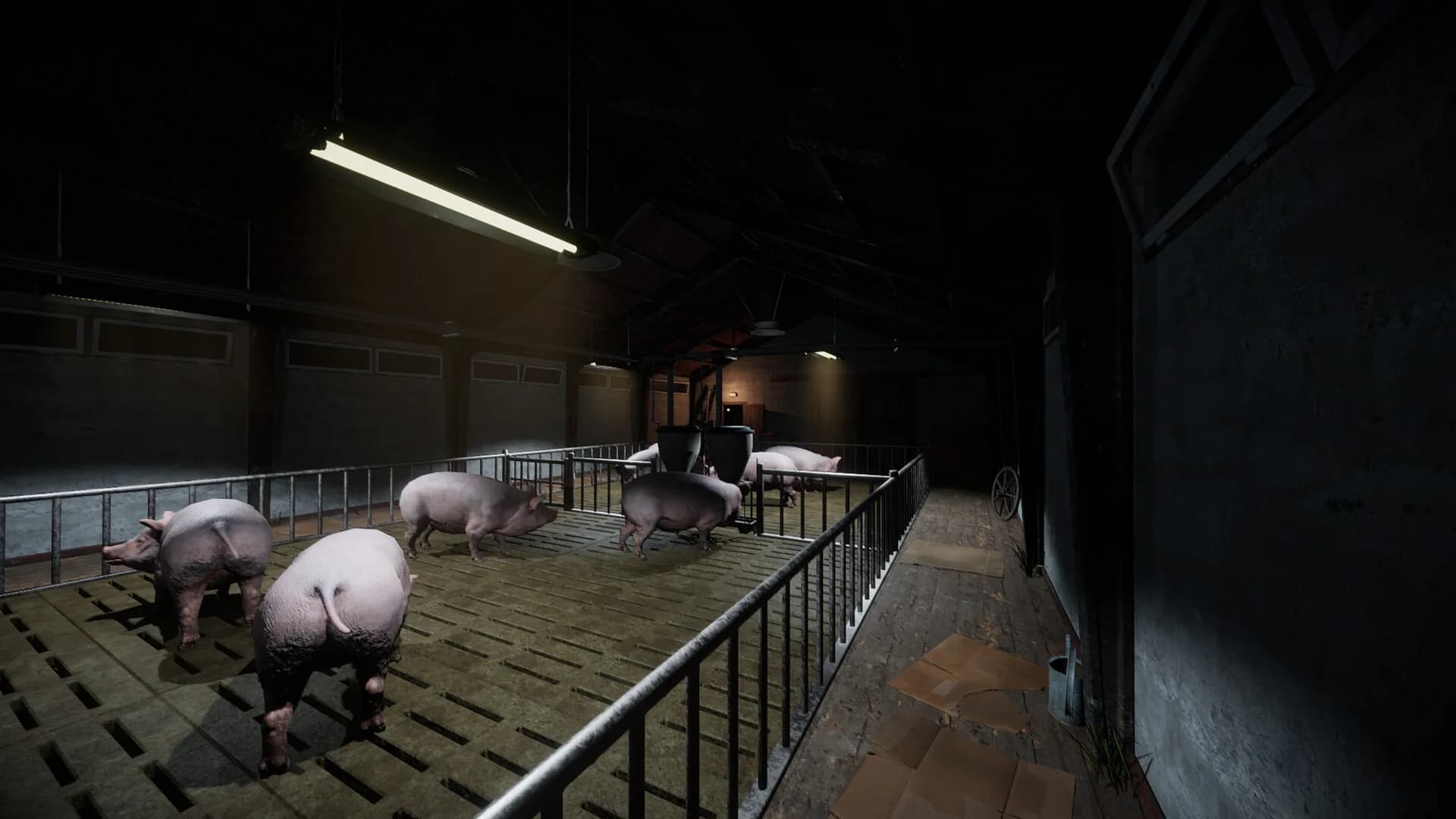 Porcine Parasite görsel 4