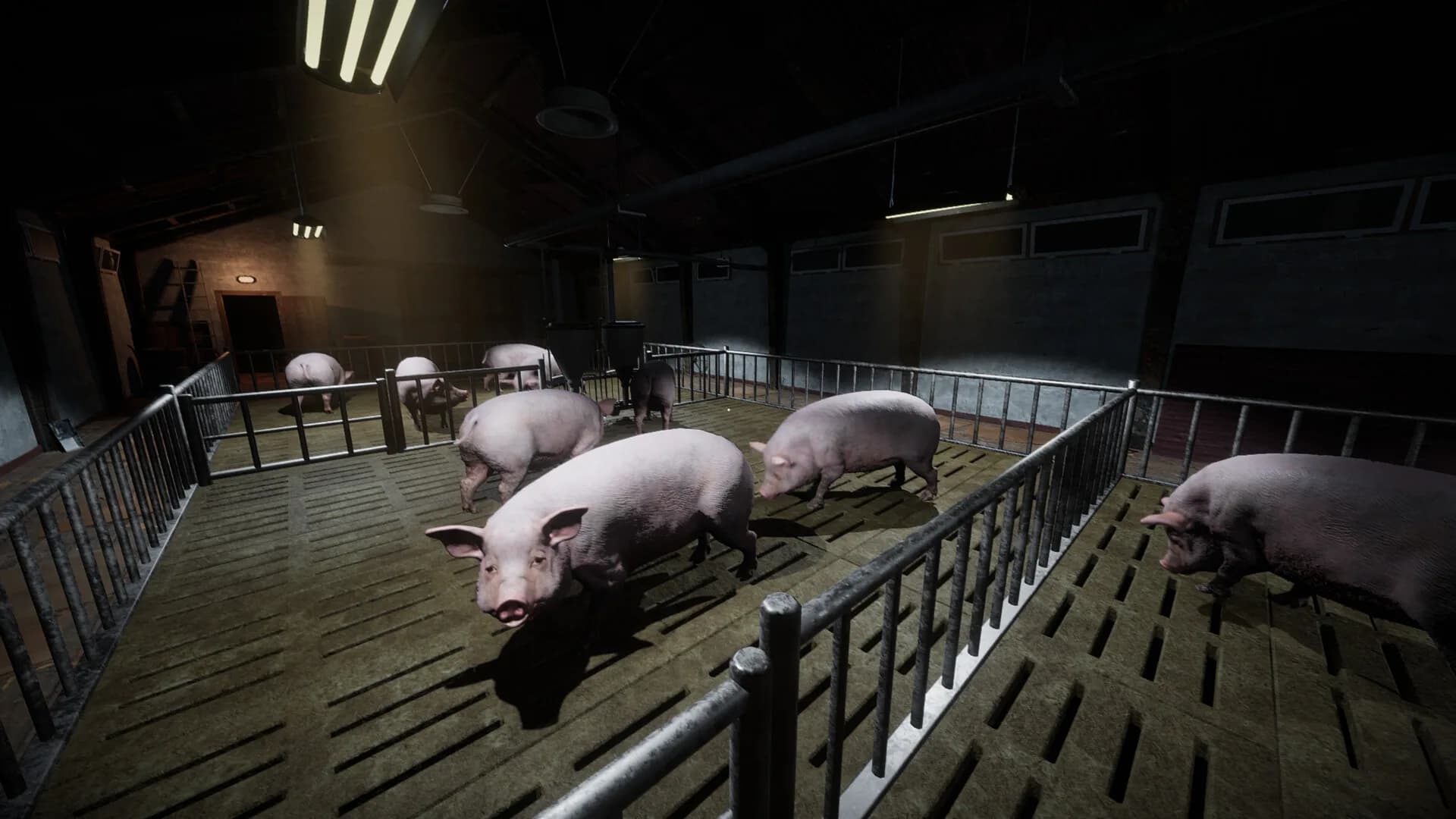 Porcine Parasite görsel 5