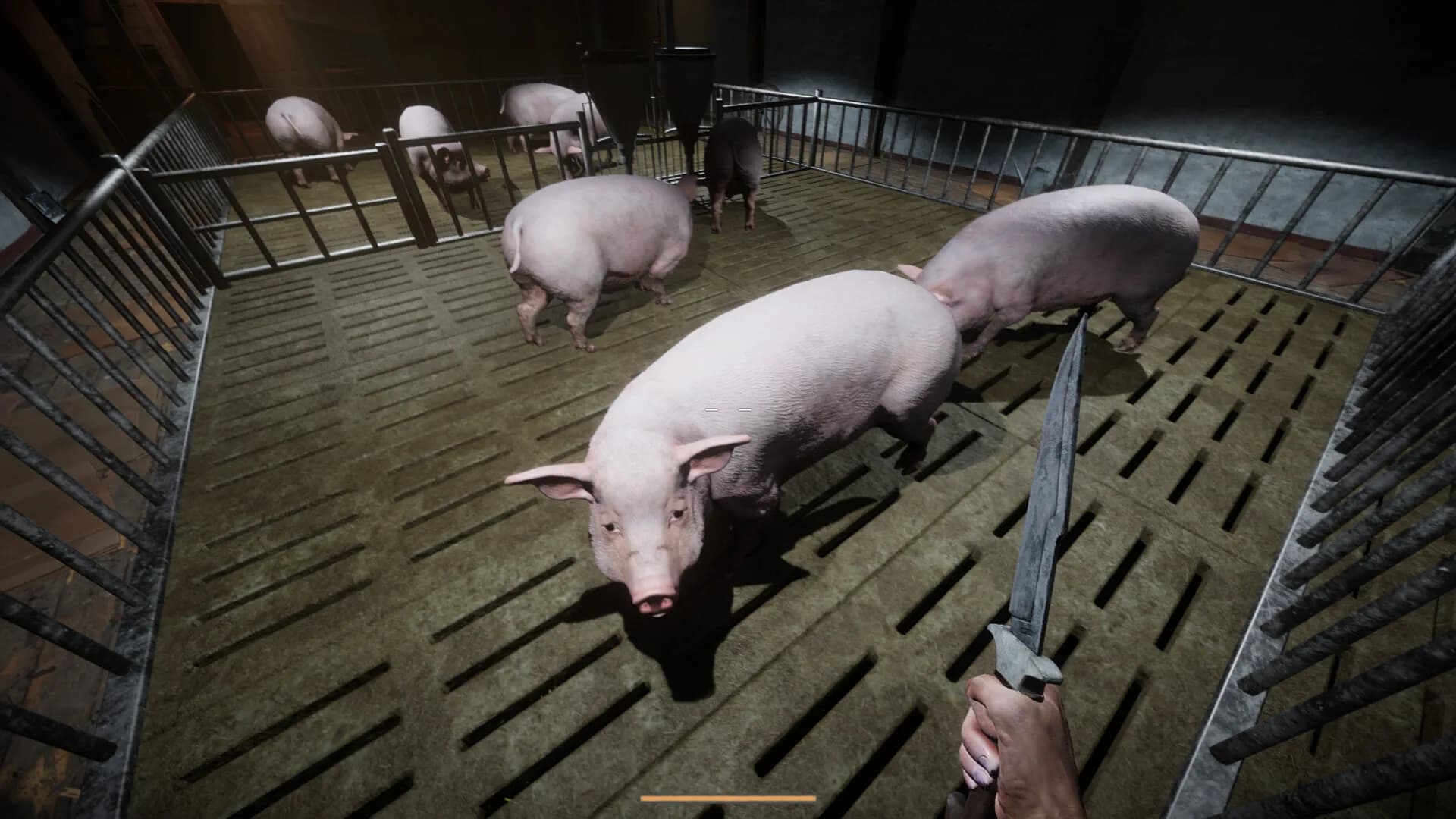Porcine Parasite görsel 6