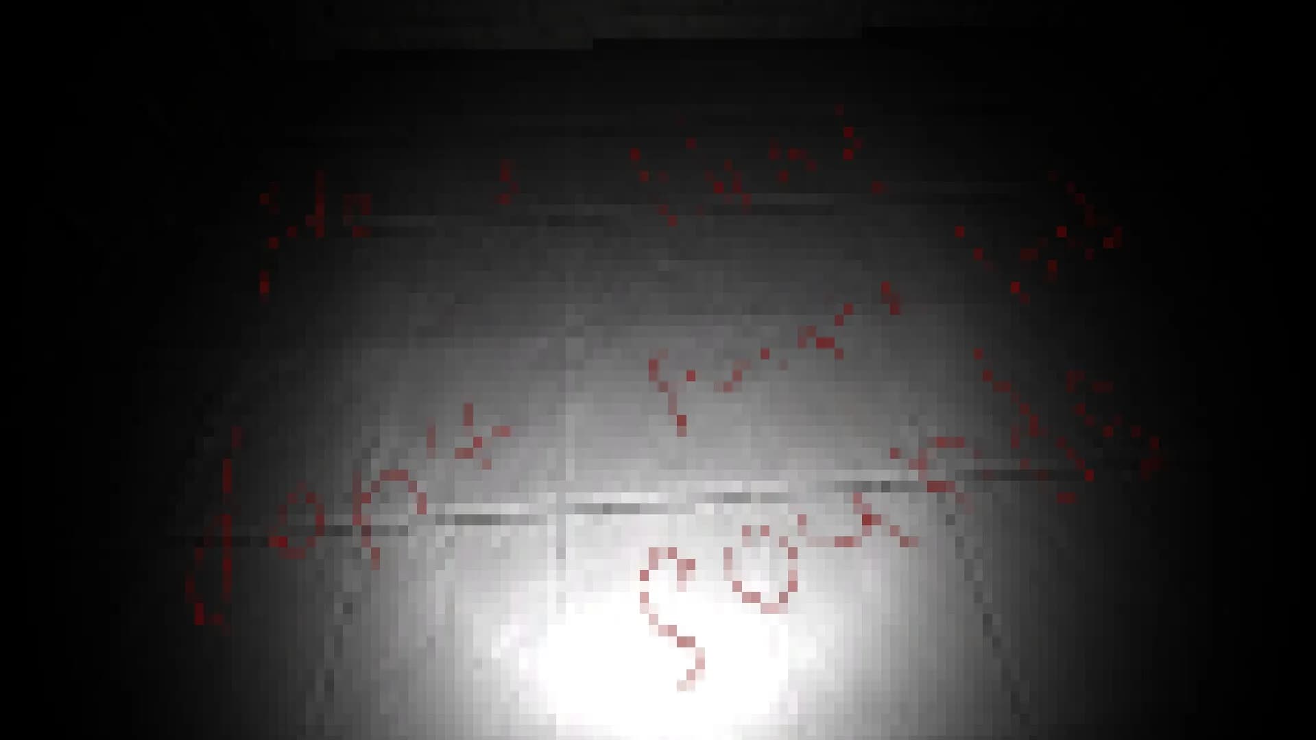 HGPP görsel 2