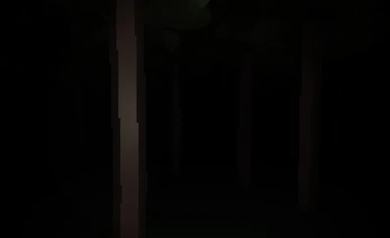 HGPP görsel 4