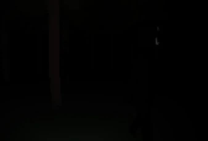 HGPP görsel 5