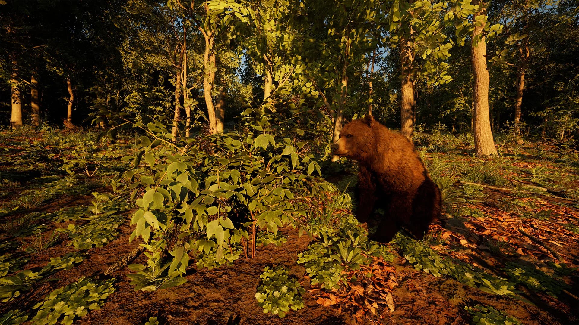 Carpathian Survival görsel 6