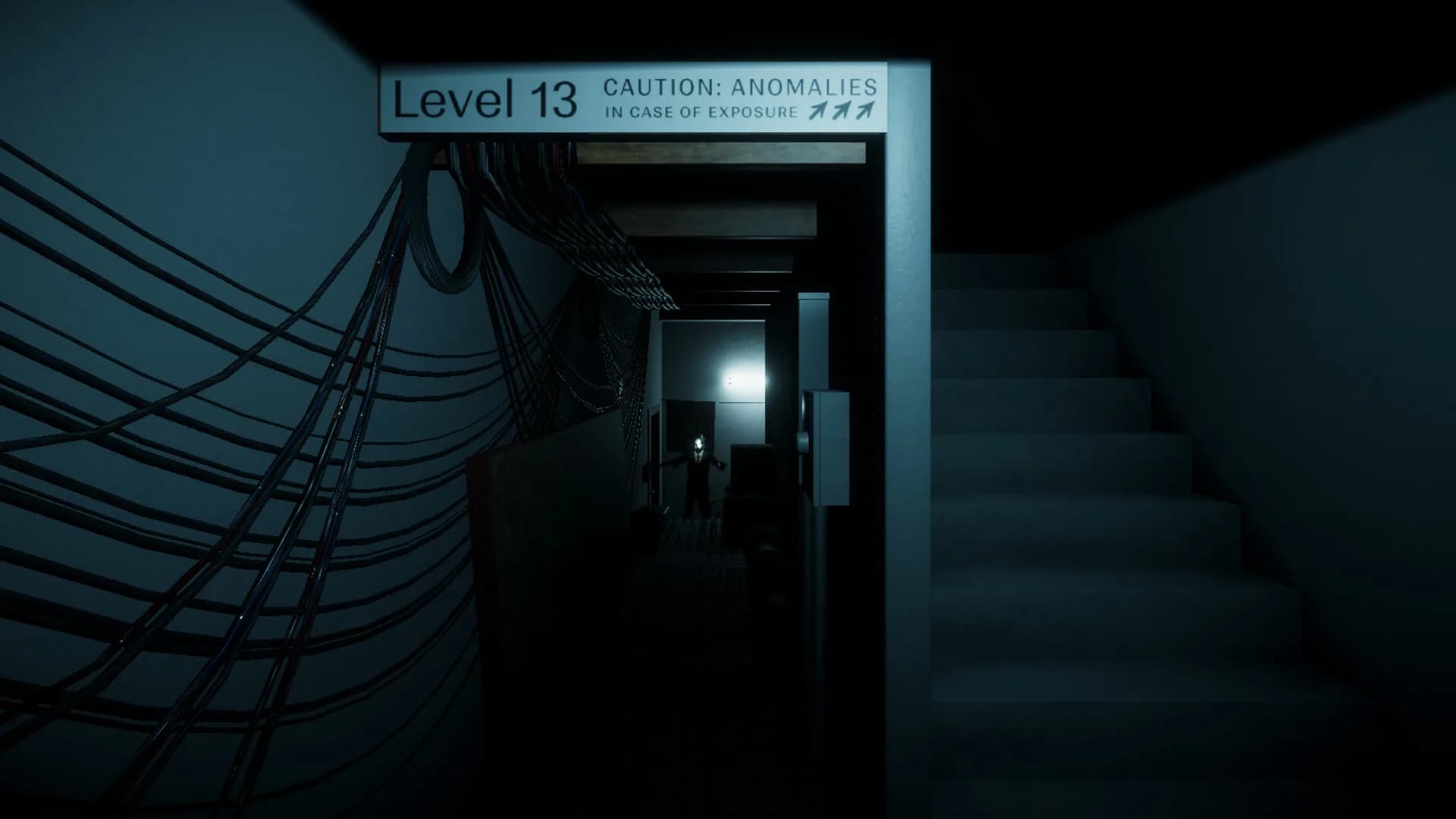 Level 13 görsel 4