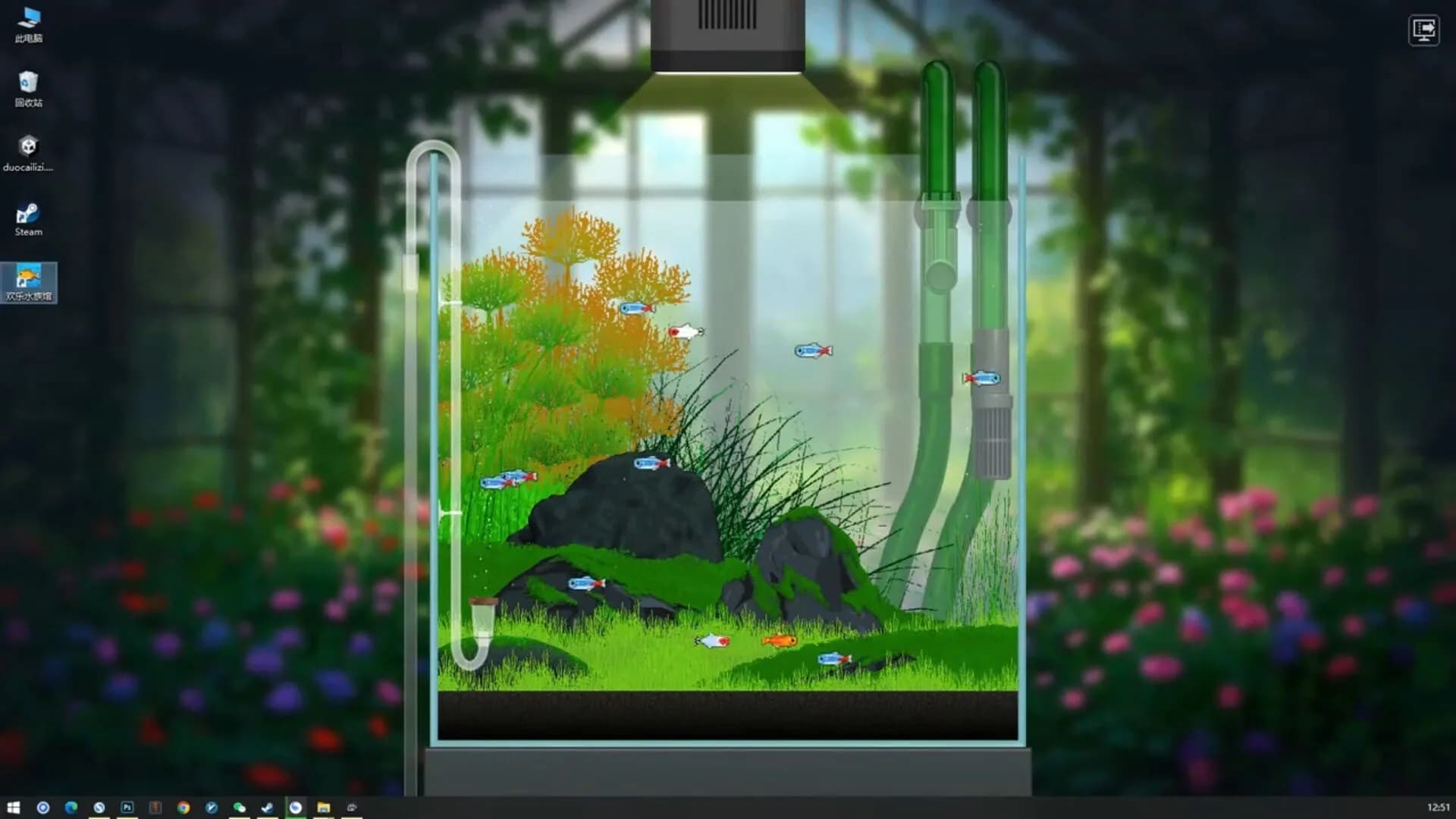 Joyquarium görsel 12