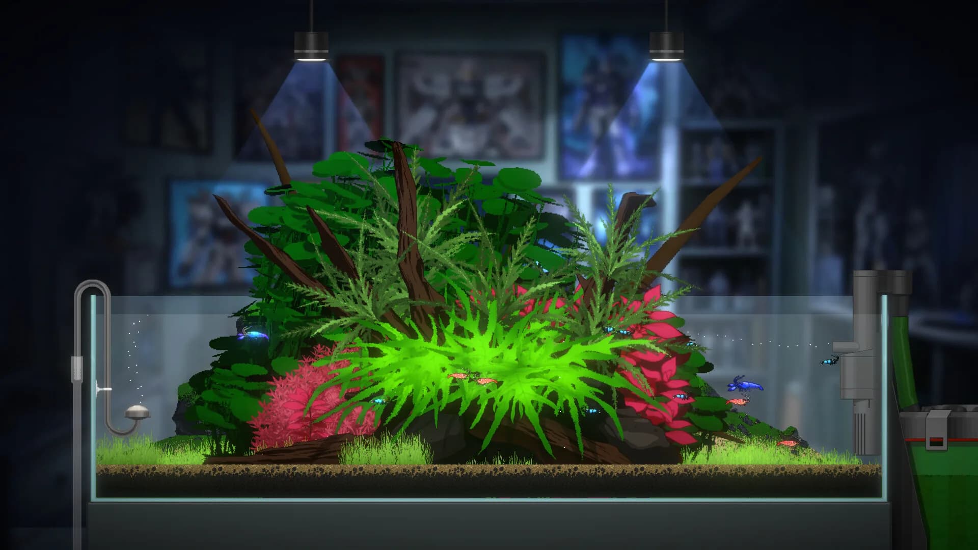 Joyquarium görsel 15