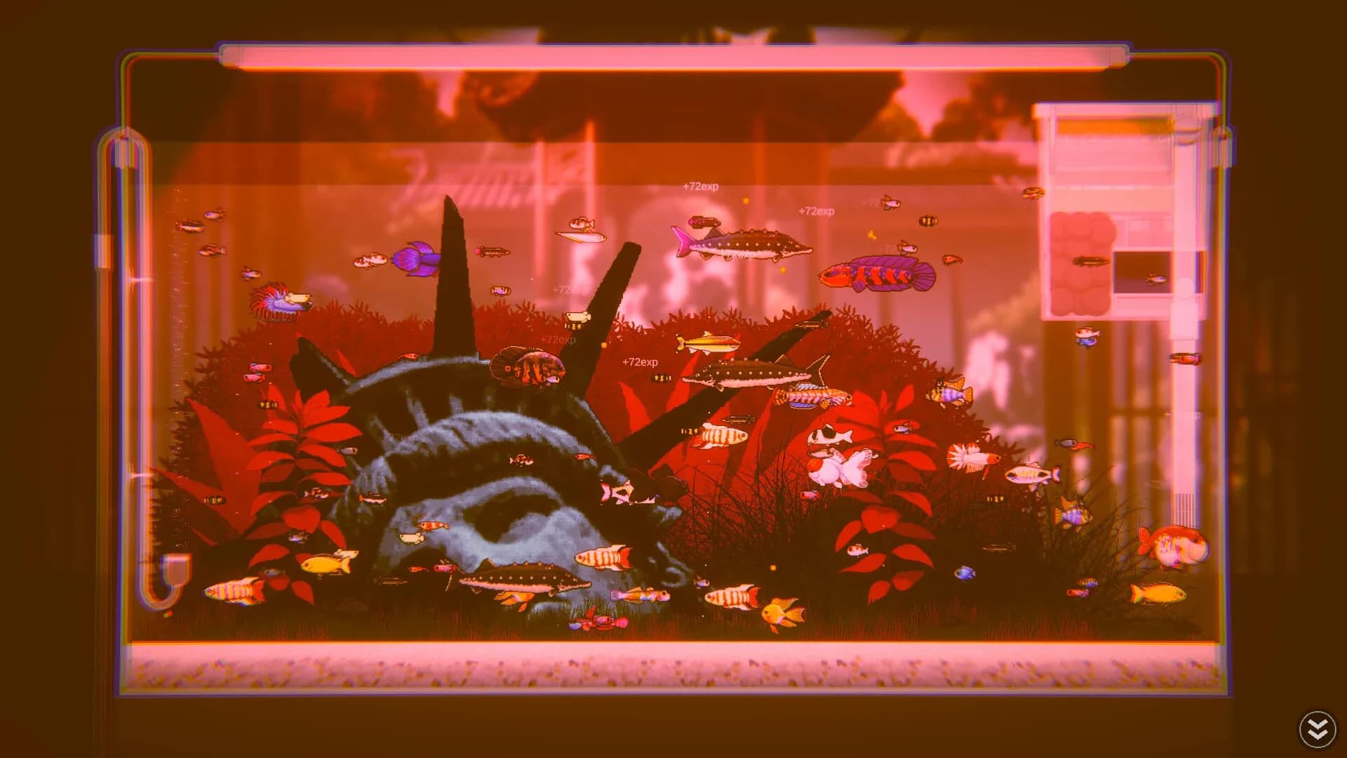 Joyquarium görsel 16