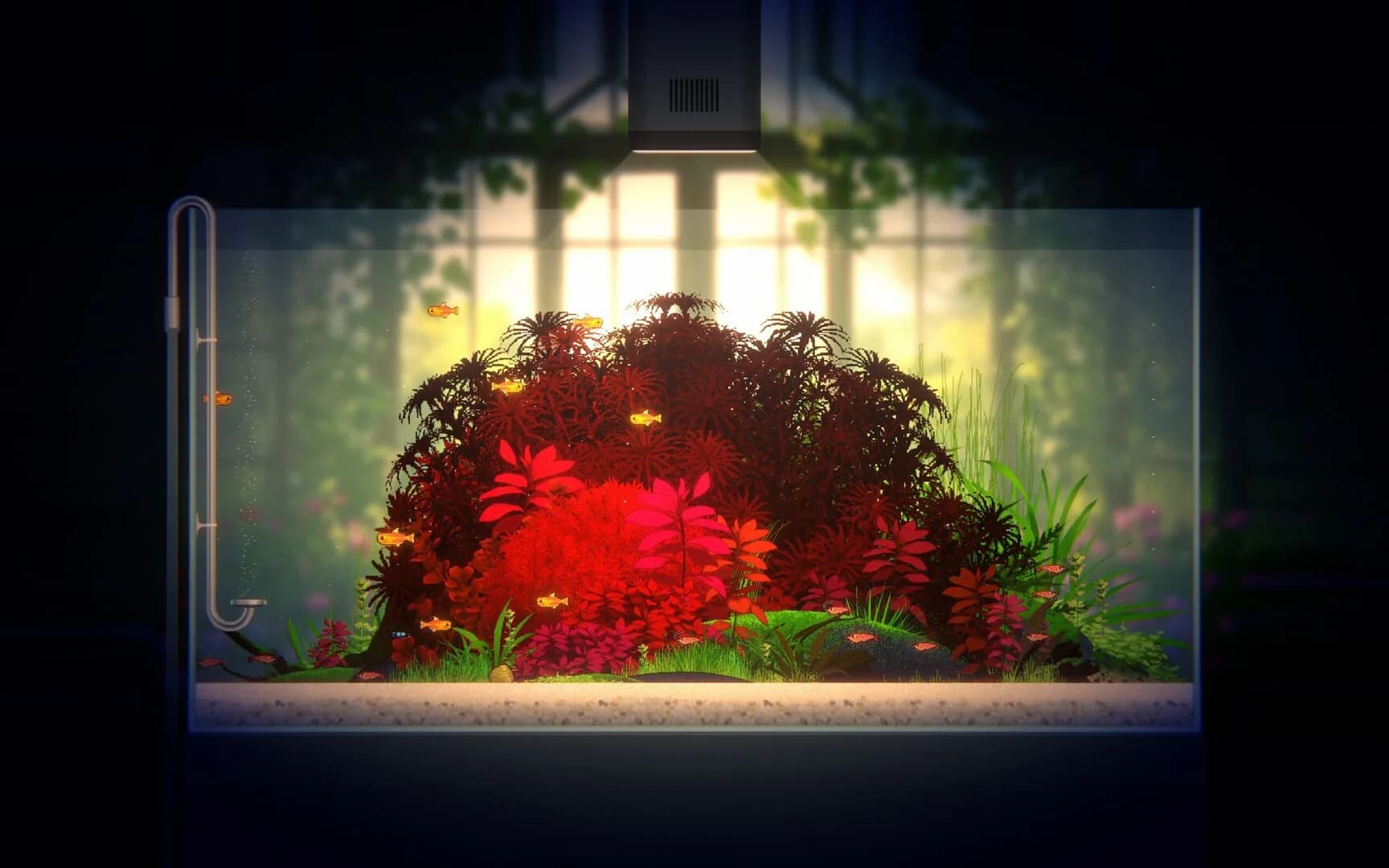 Joyquarium görsel 17