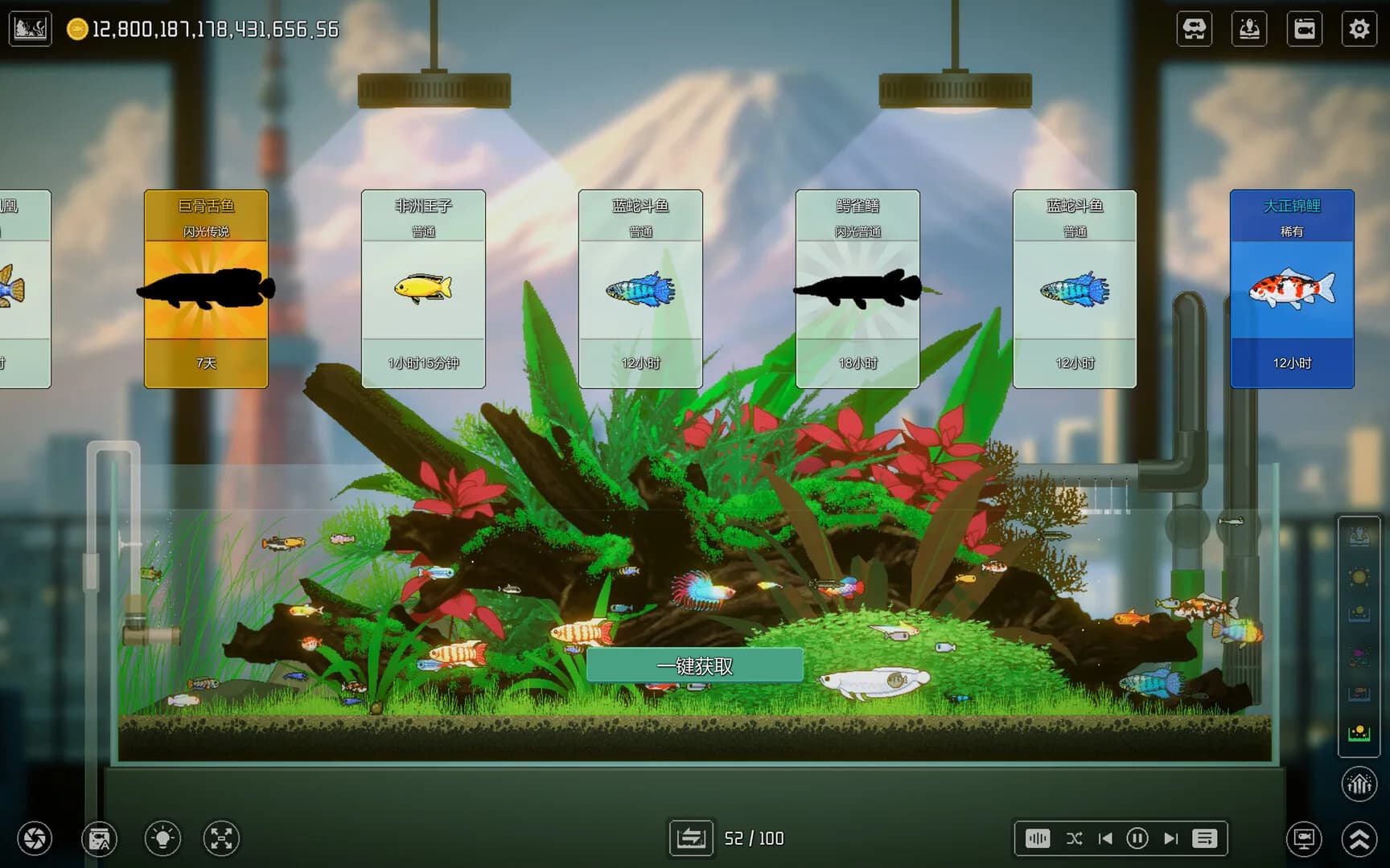 Joyquarium görsel 4