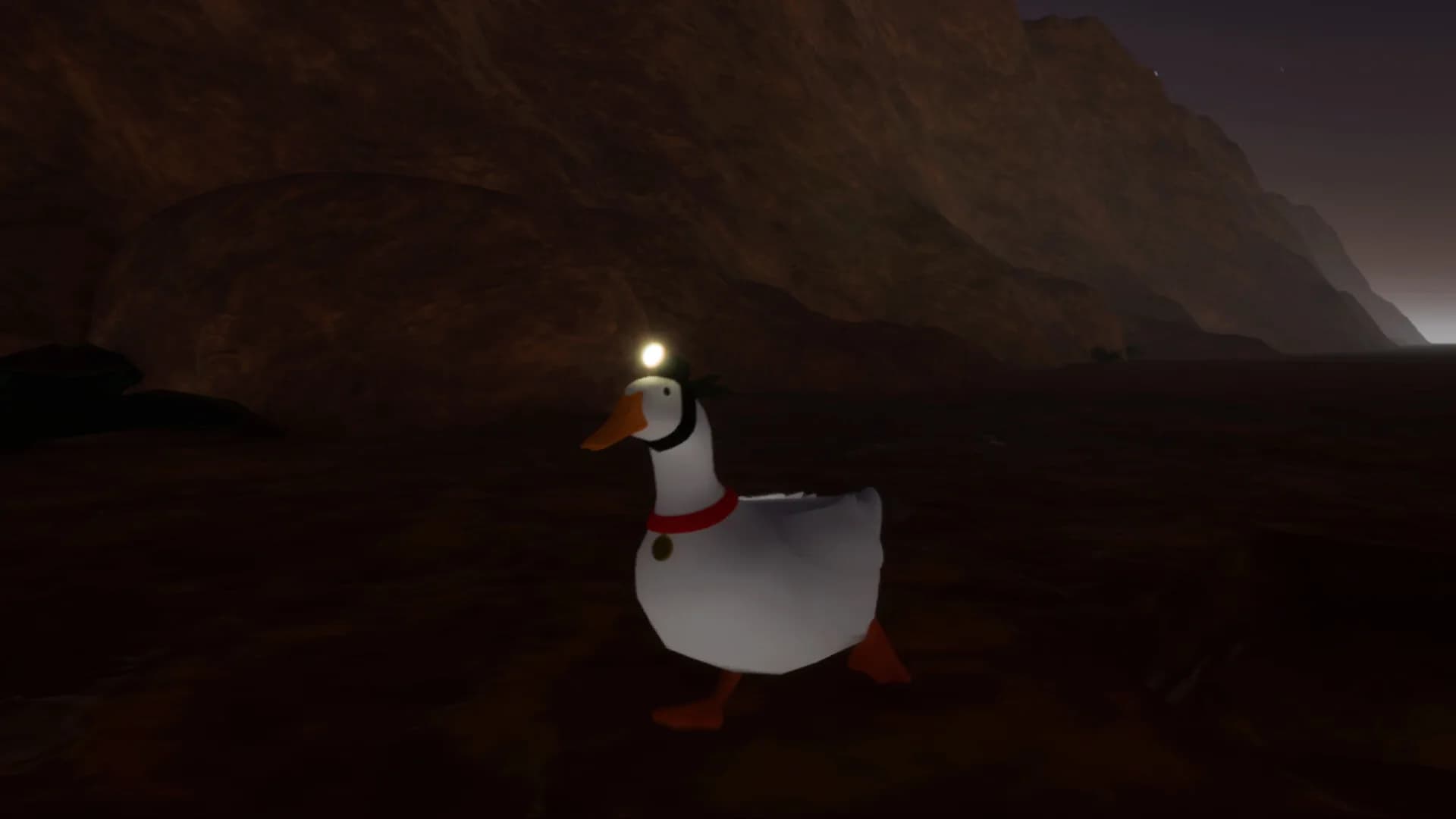 Ducky: The Curious görsel 7