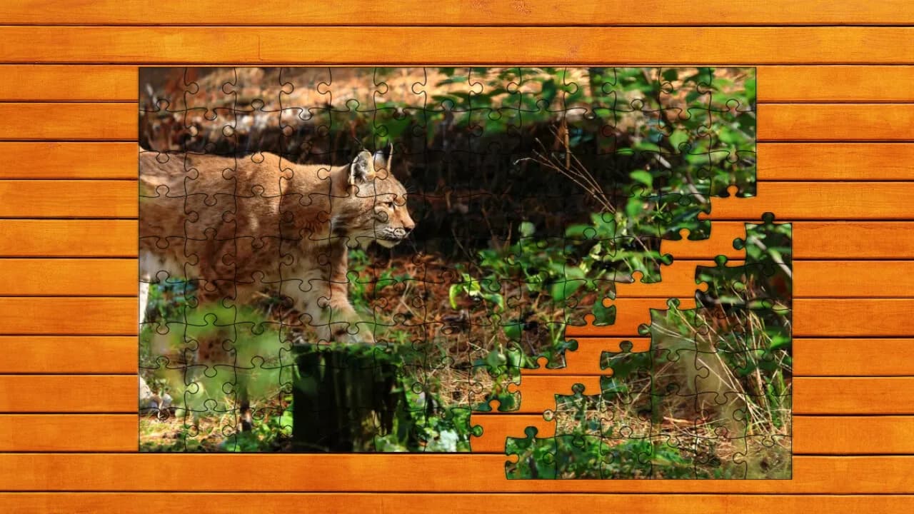 Wild Lynx Jigsaw görsel 2