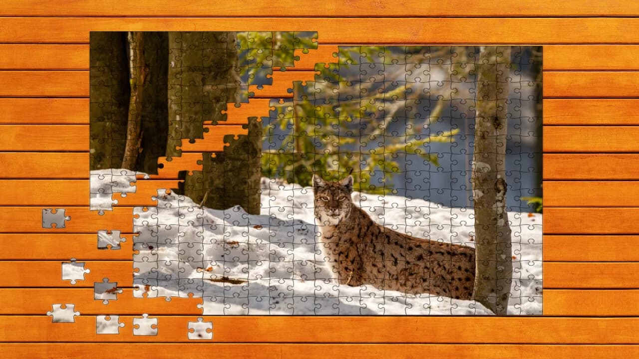 Wild Lynx Jigsaw görsel 3