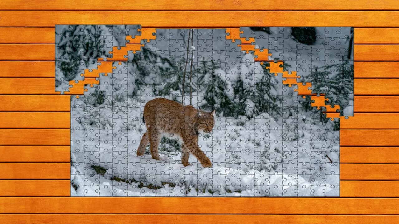 Wild Lynx Jigsaw görsel 4
